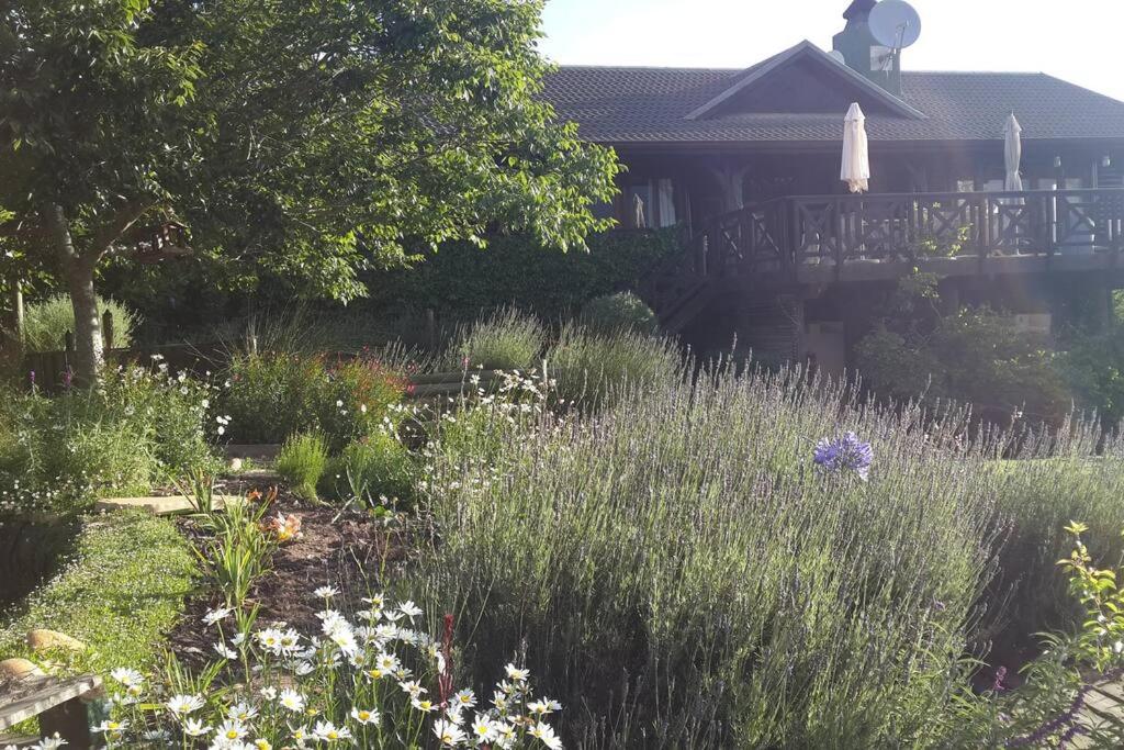 Beautiful country home on the Garden Route! view 3