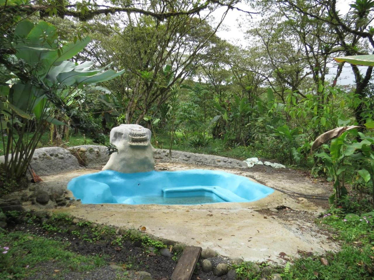 Photo 25