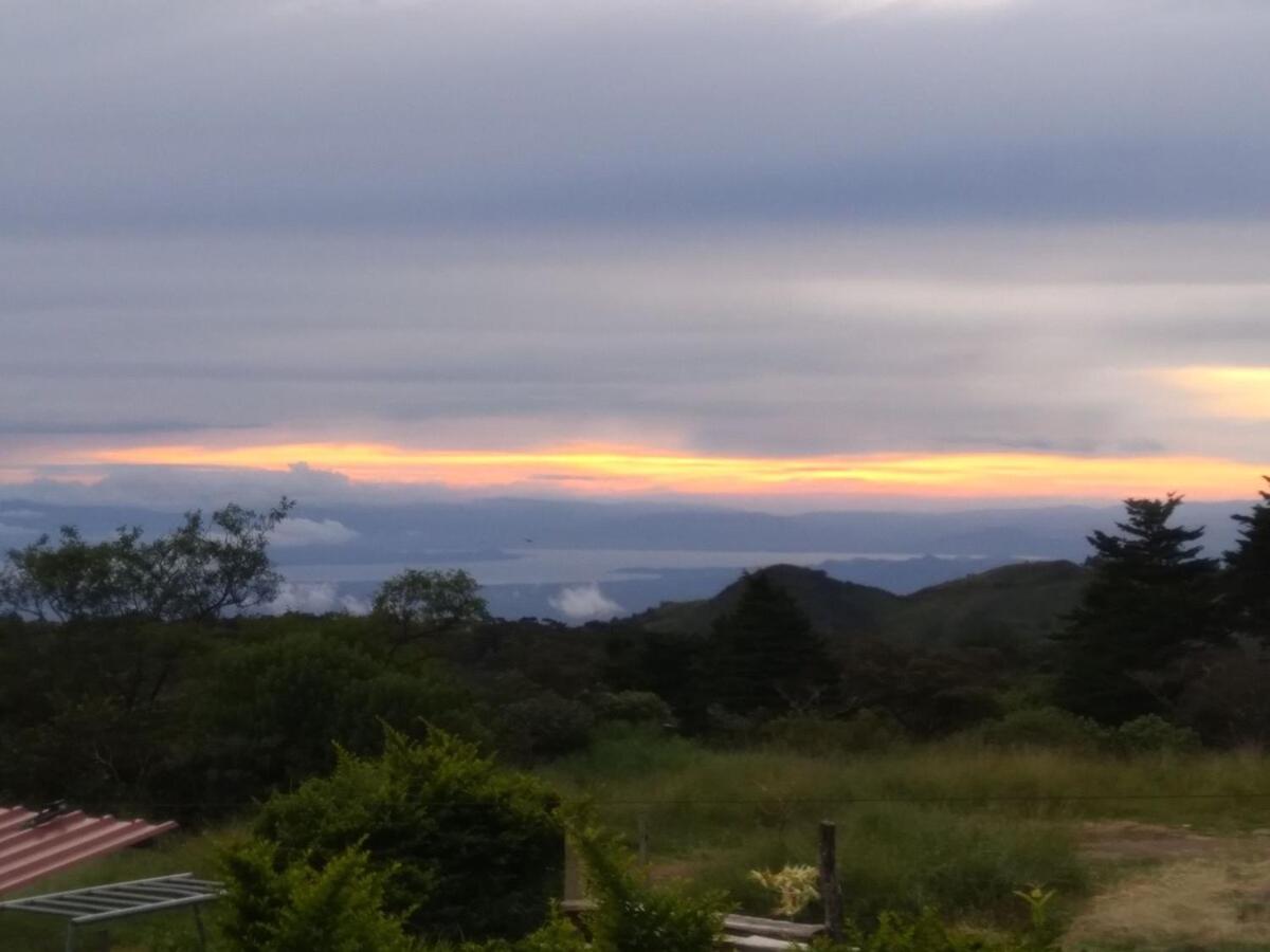 Siary Aparment 2