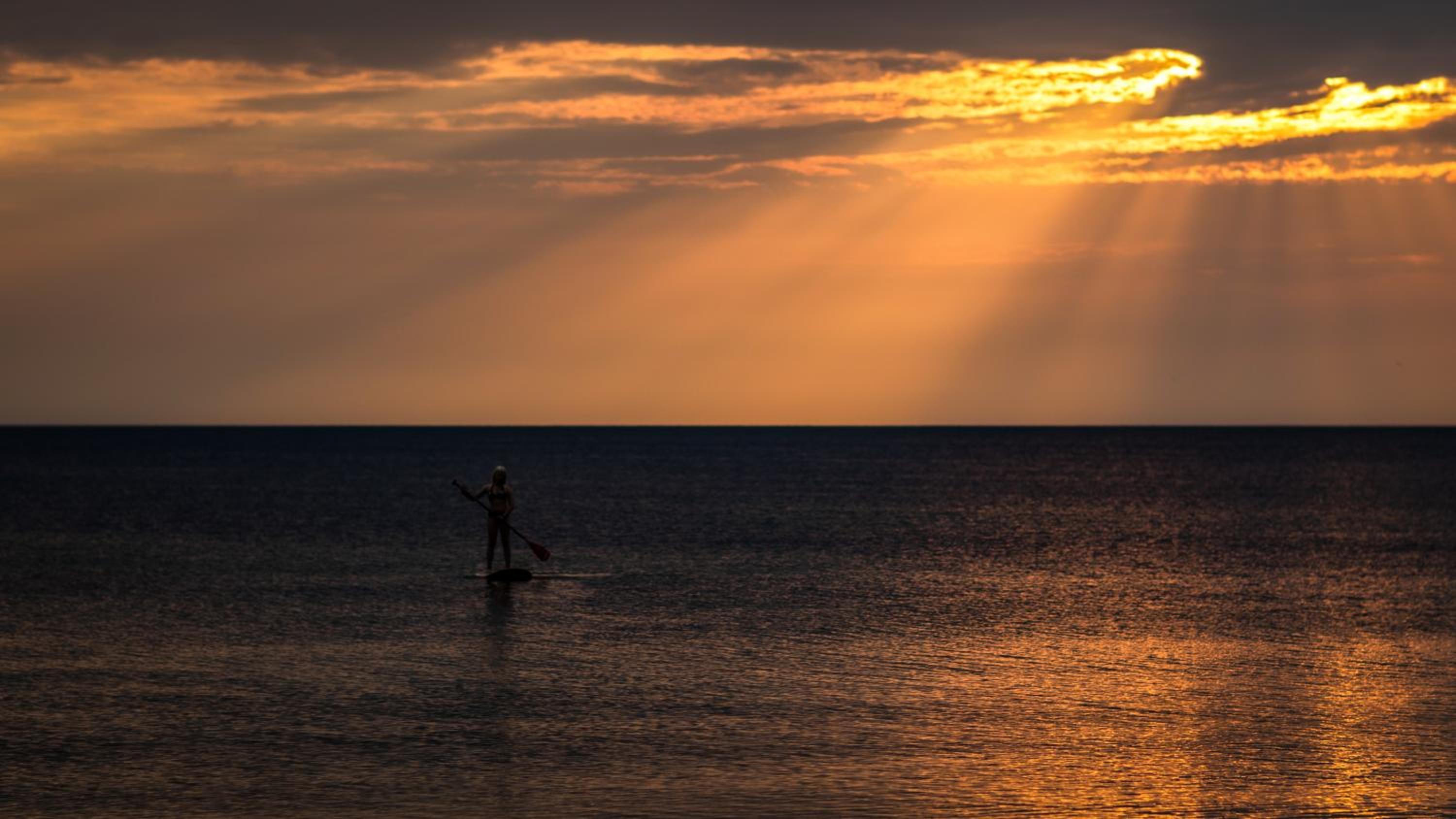 Surflogiet Gotland