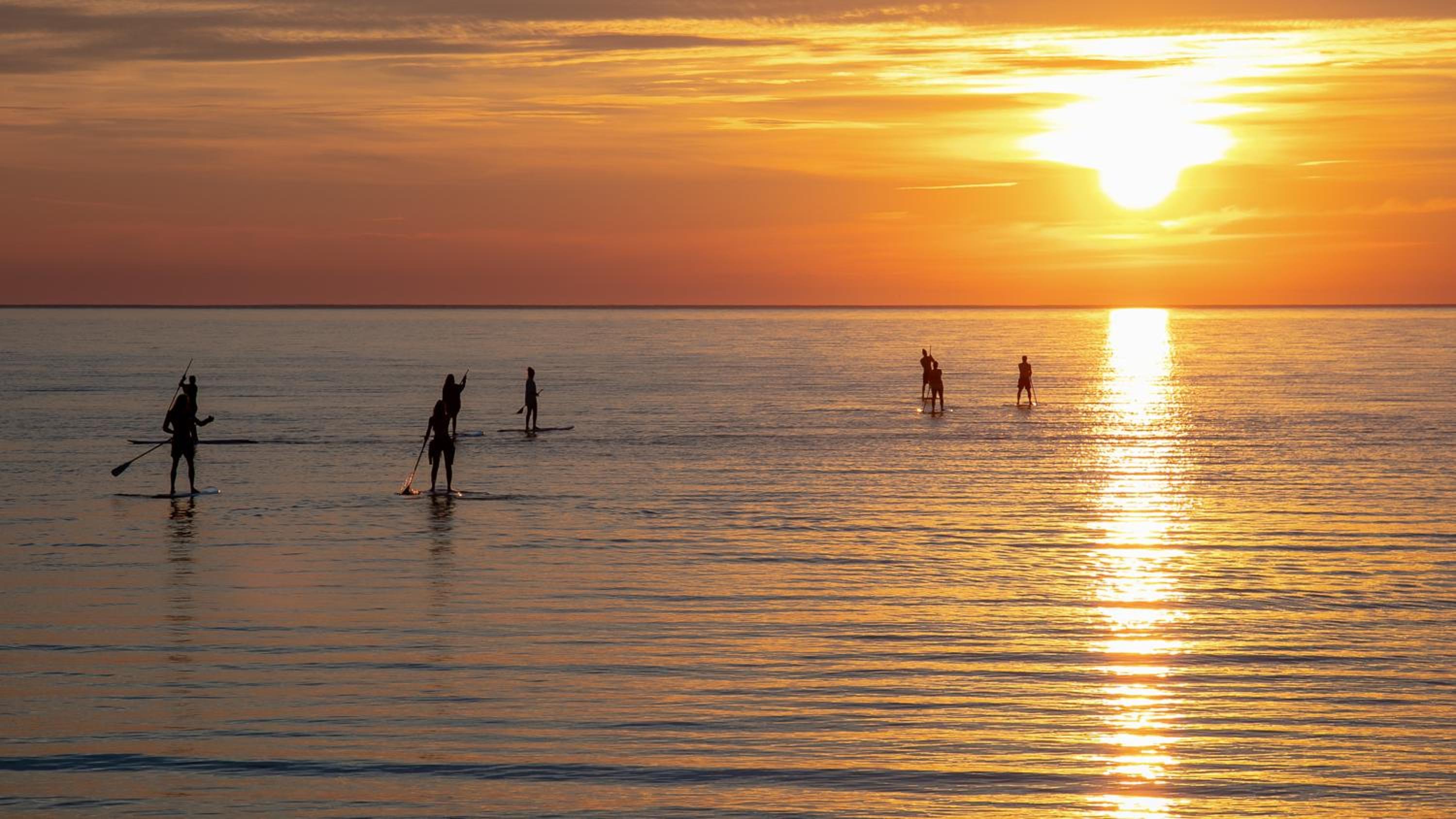 Surflogiet Gotland