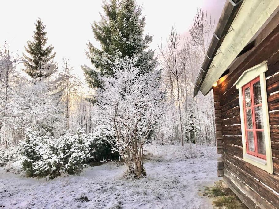 Log Cabin from 1820s with wood-heated sauna