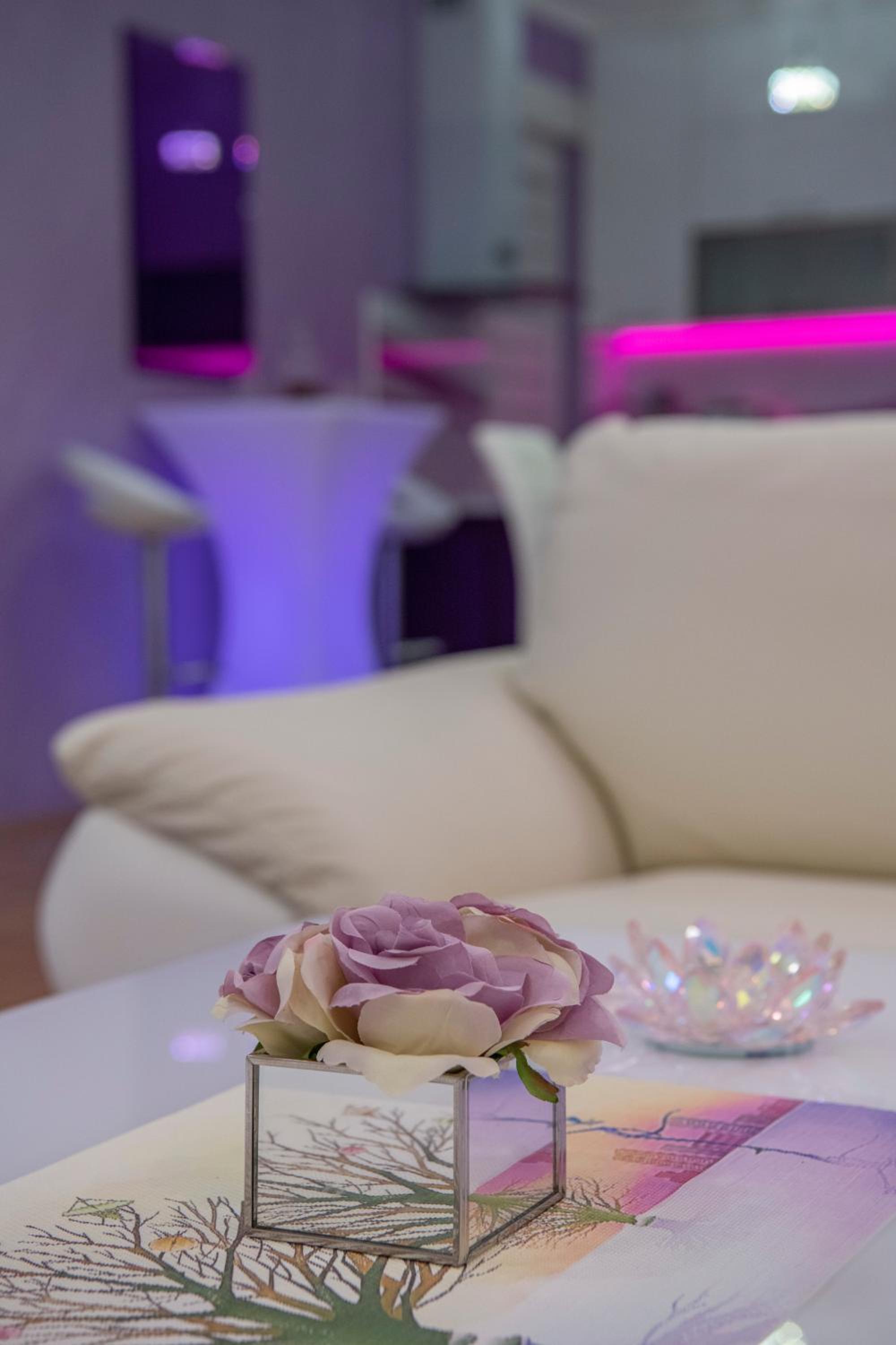 Apartment Queen 2