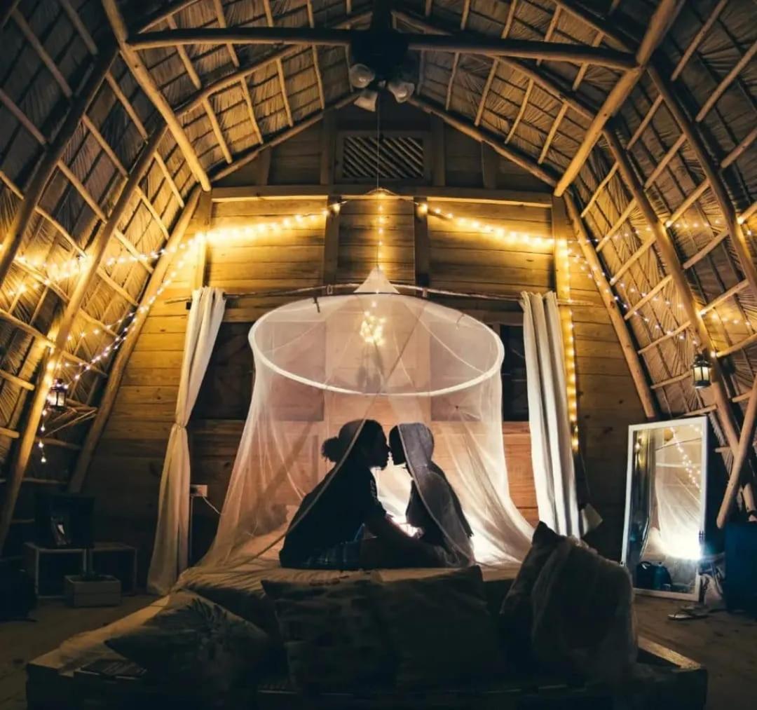 Hotel Samana Ecolodge - Image 1