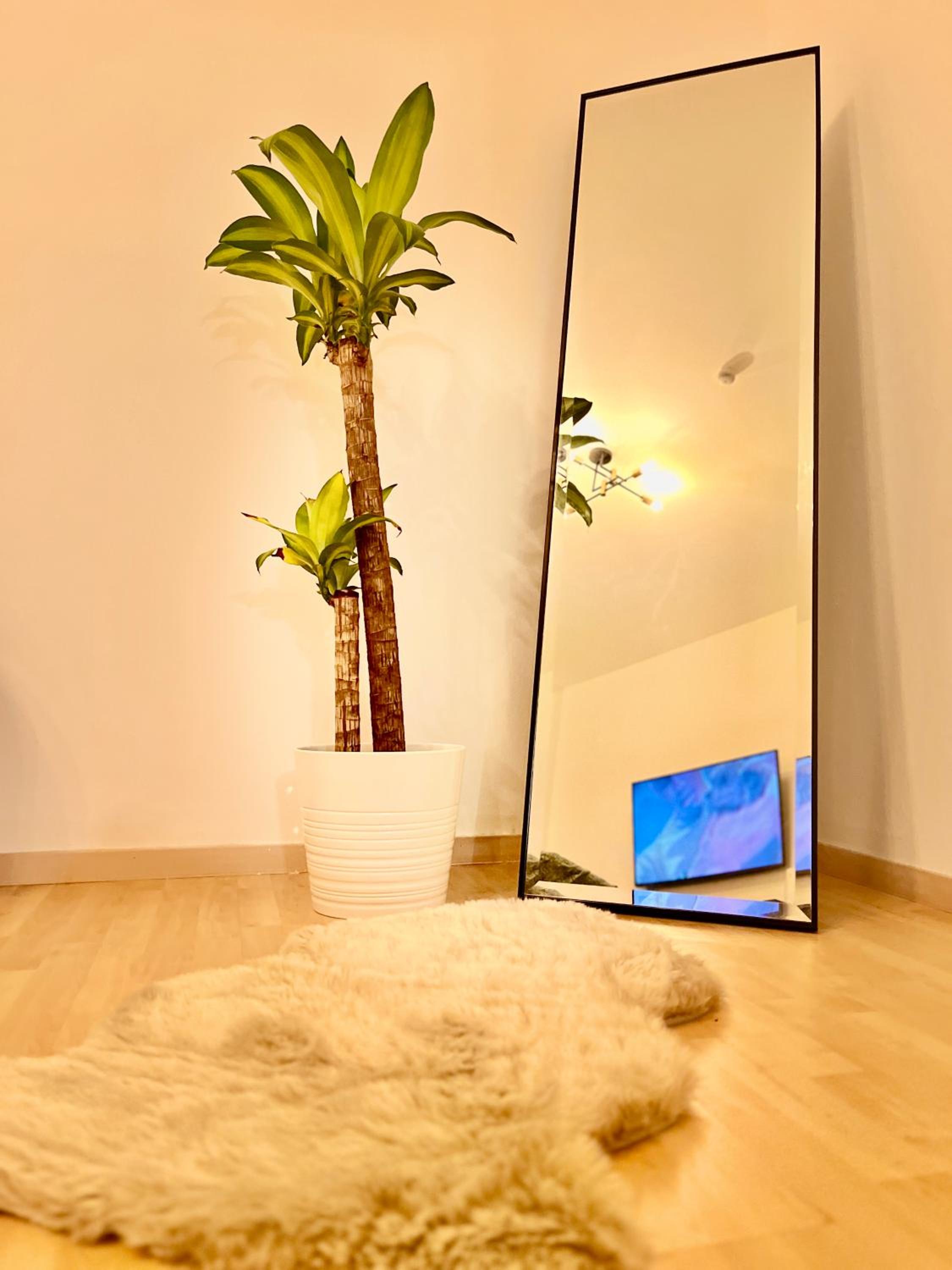 Comfy & Warm City Apartment - Self Check-in