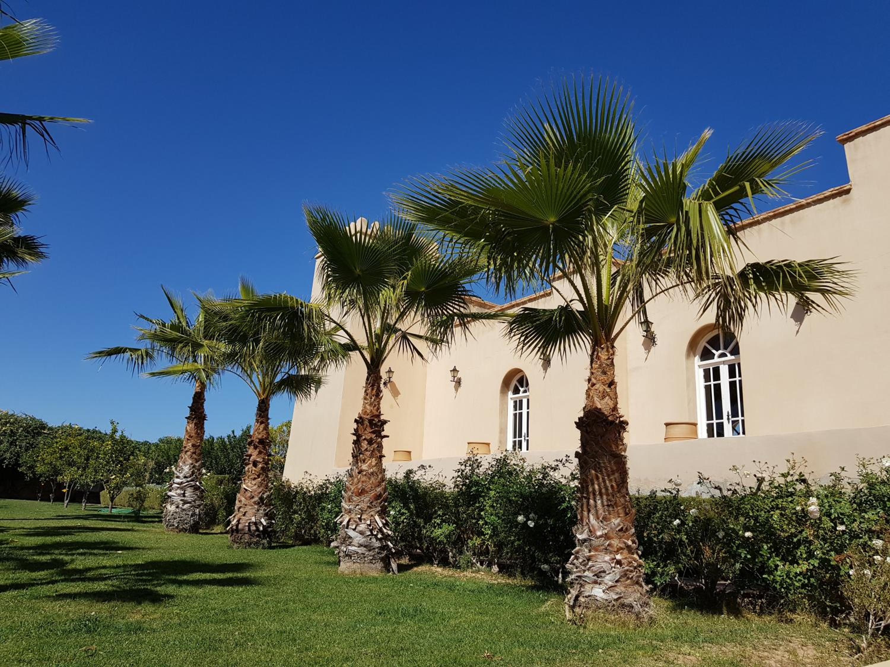 Palais Villa Talaa Resort view 3