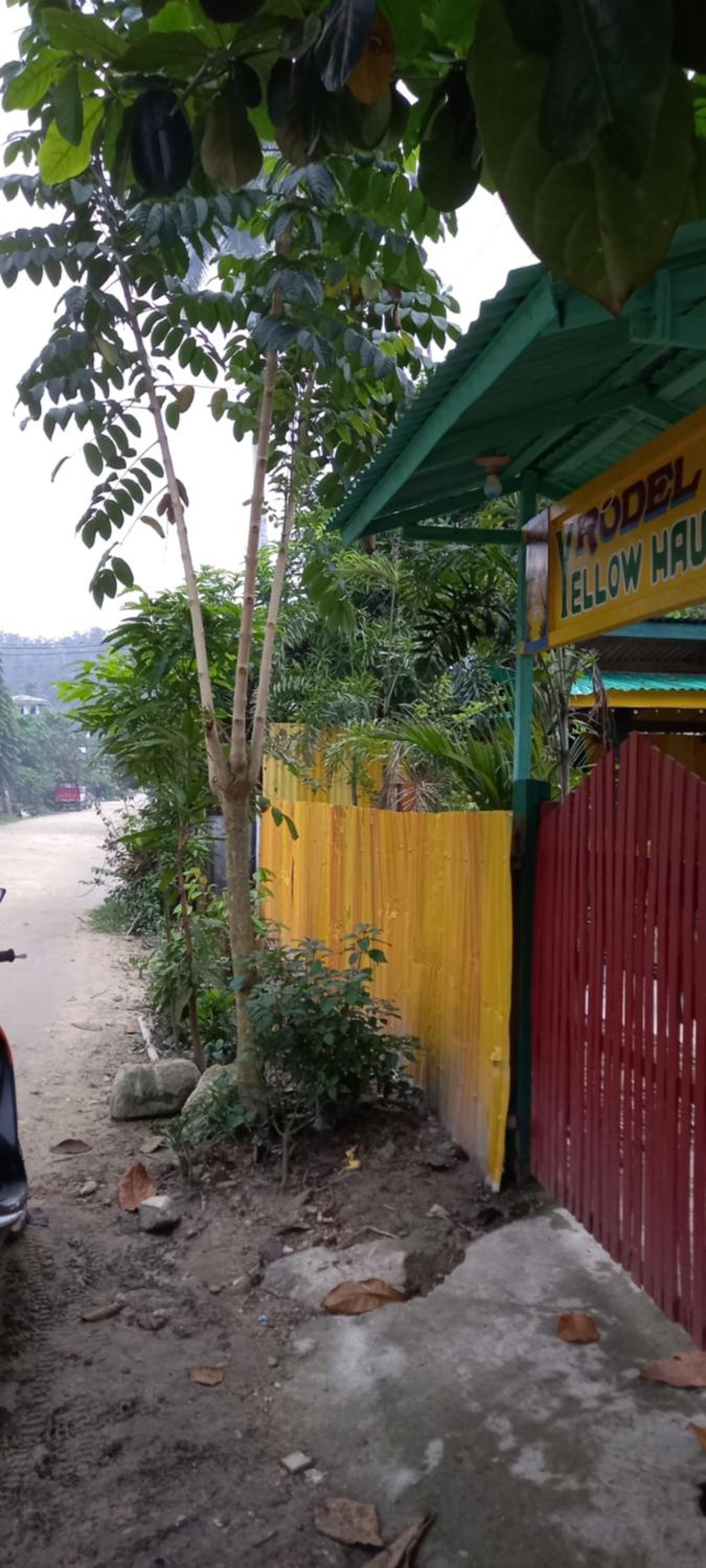 Rodel Yellow Hauz view 3