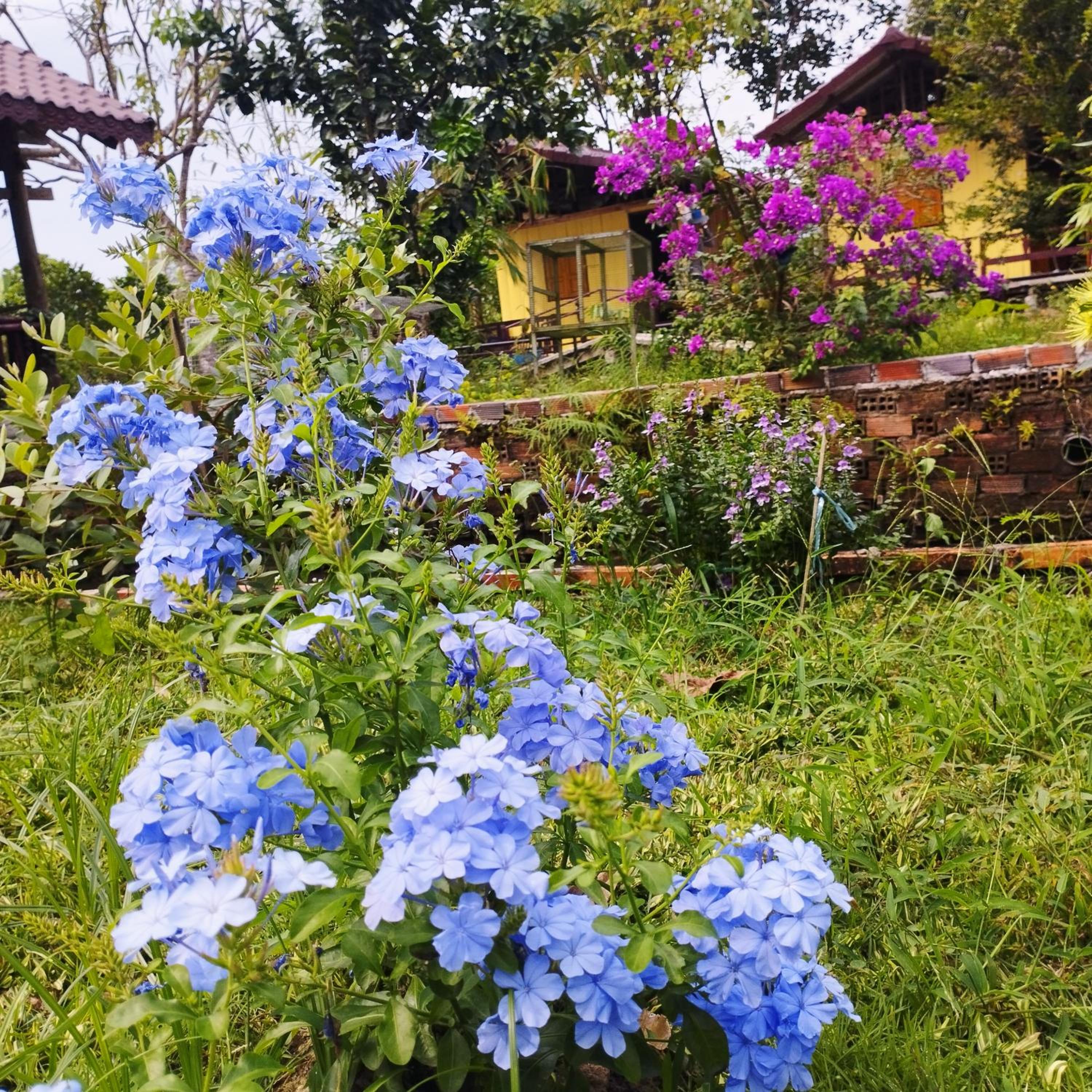 Photo 46
