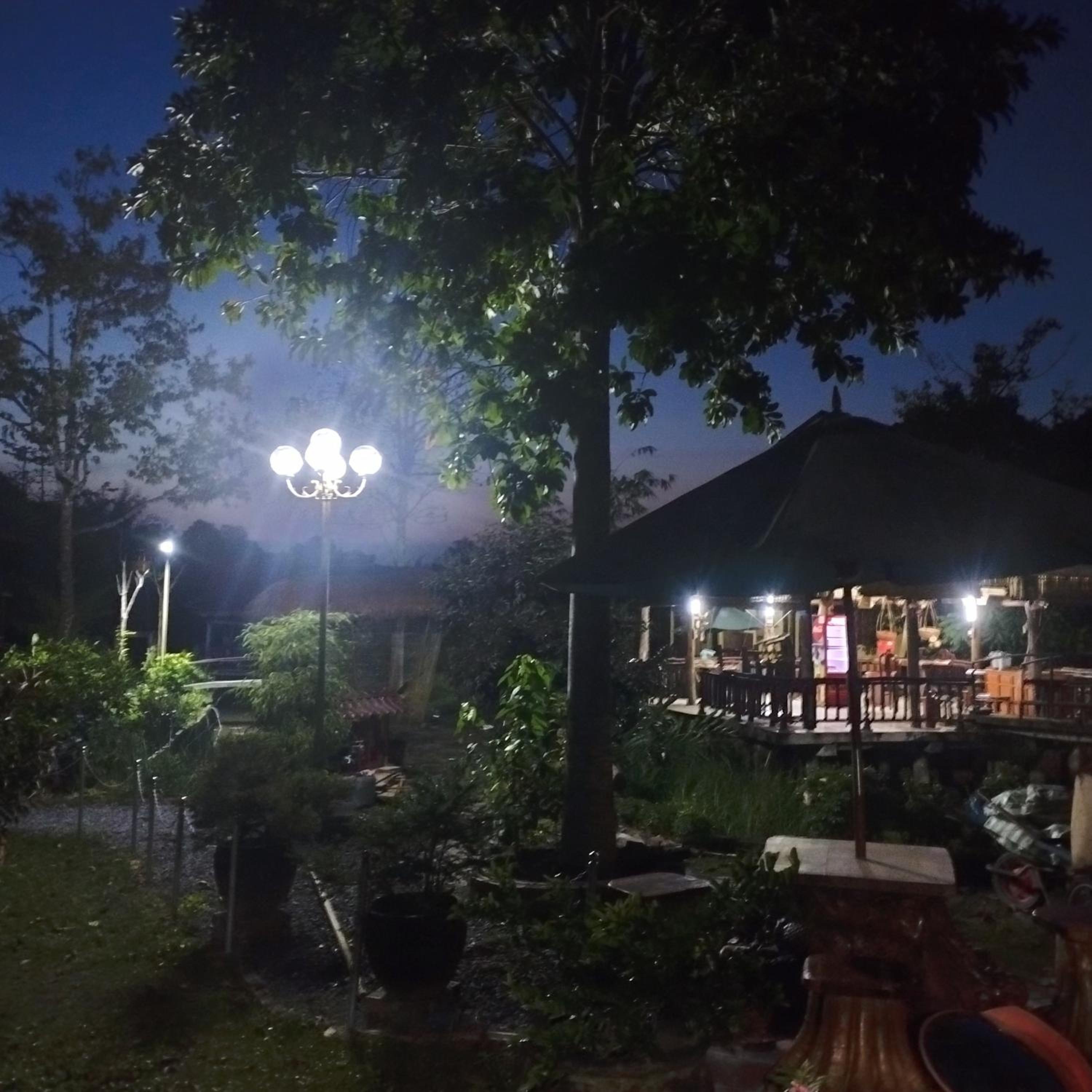 Brown House Resort view 5
