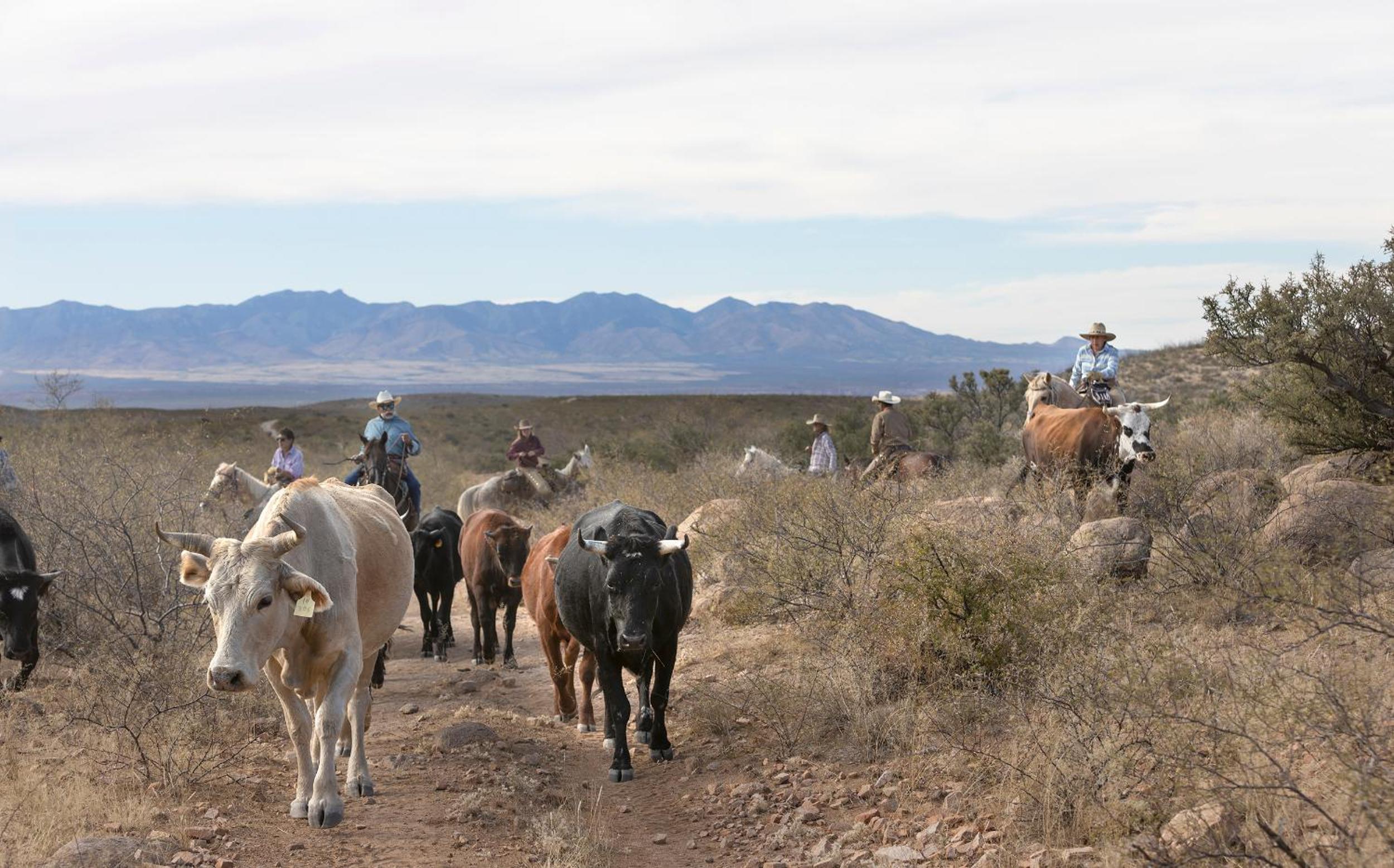 Sierra Vista Vacations - Tombstone Monument Guest Ranch - Property Image 2