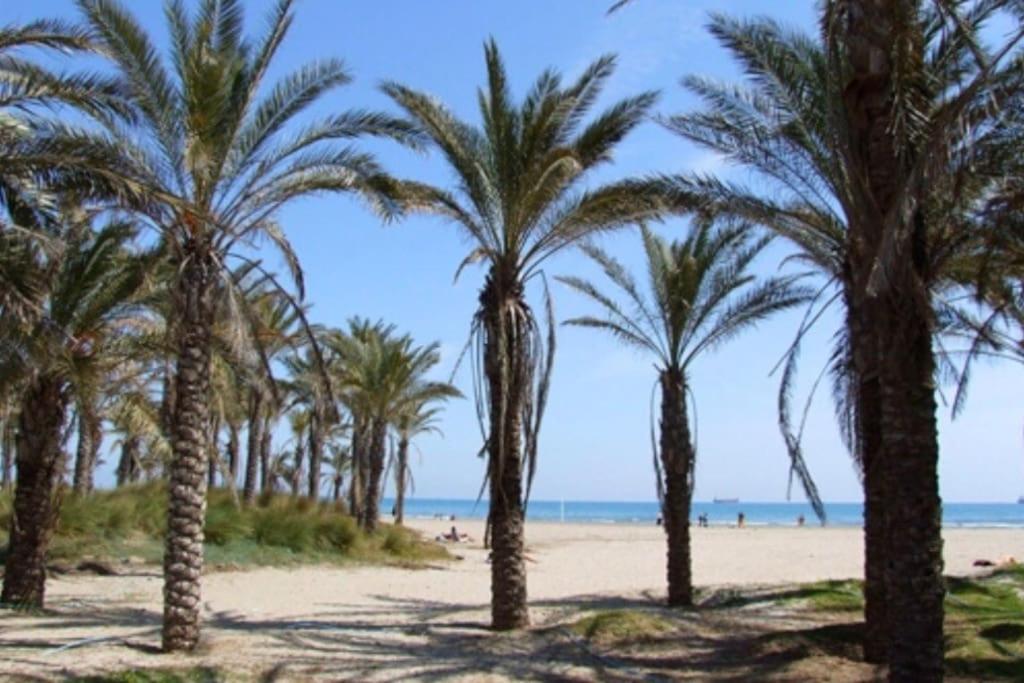 Adosado, wifi, playa, lugar espacioso, vacacional view 3