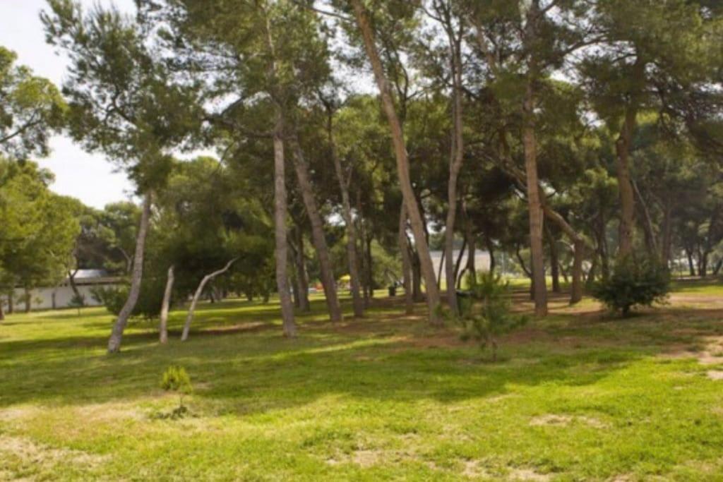 Adosado, wifi, playa, lugar espacioso, vacacional view 4