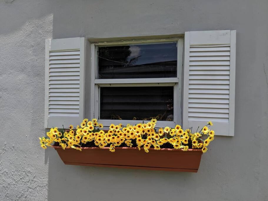 3 Bedroom Miami Home 15 Minutes to the Beach