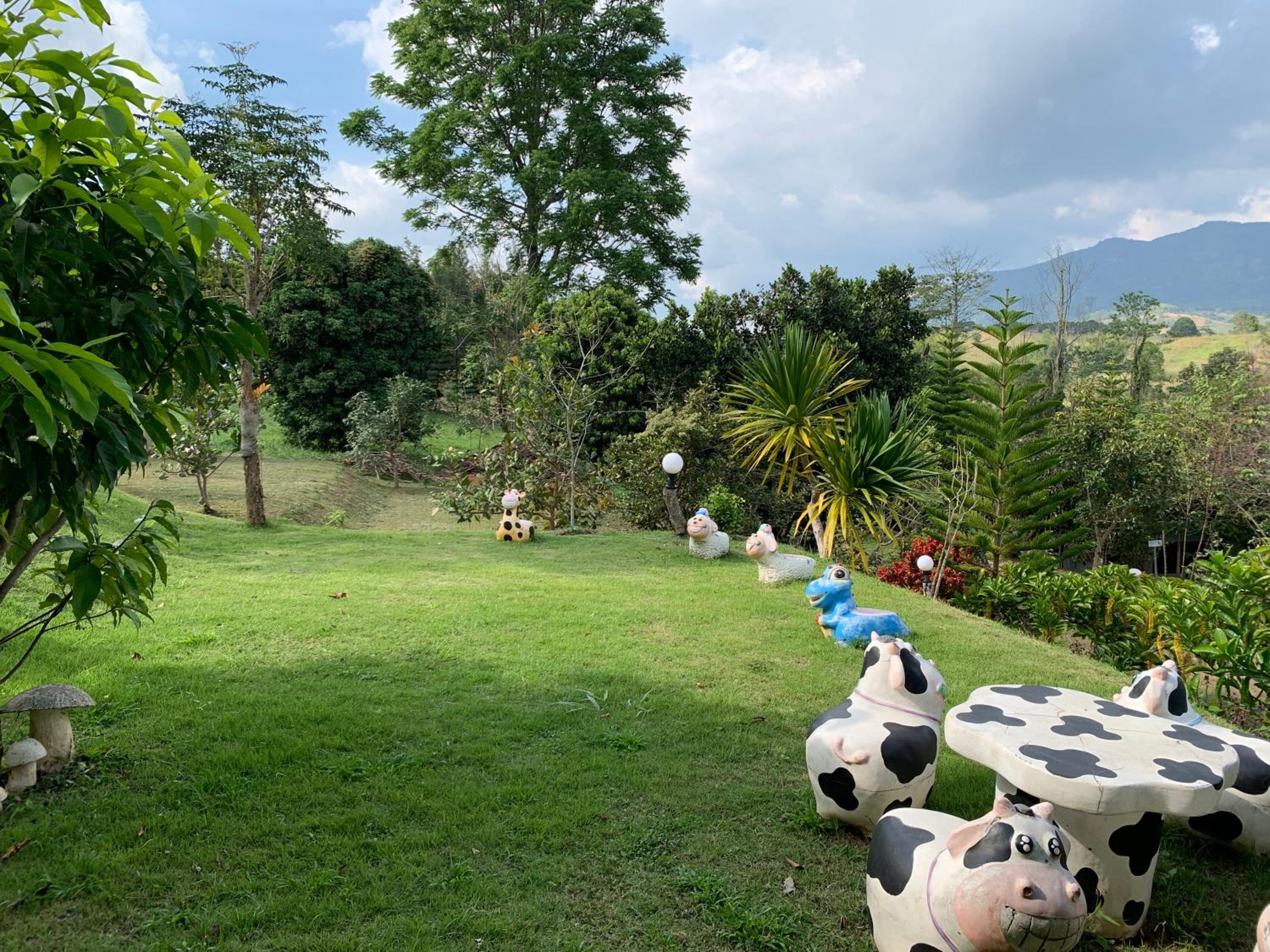 children's play area
