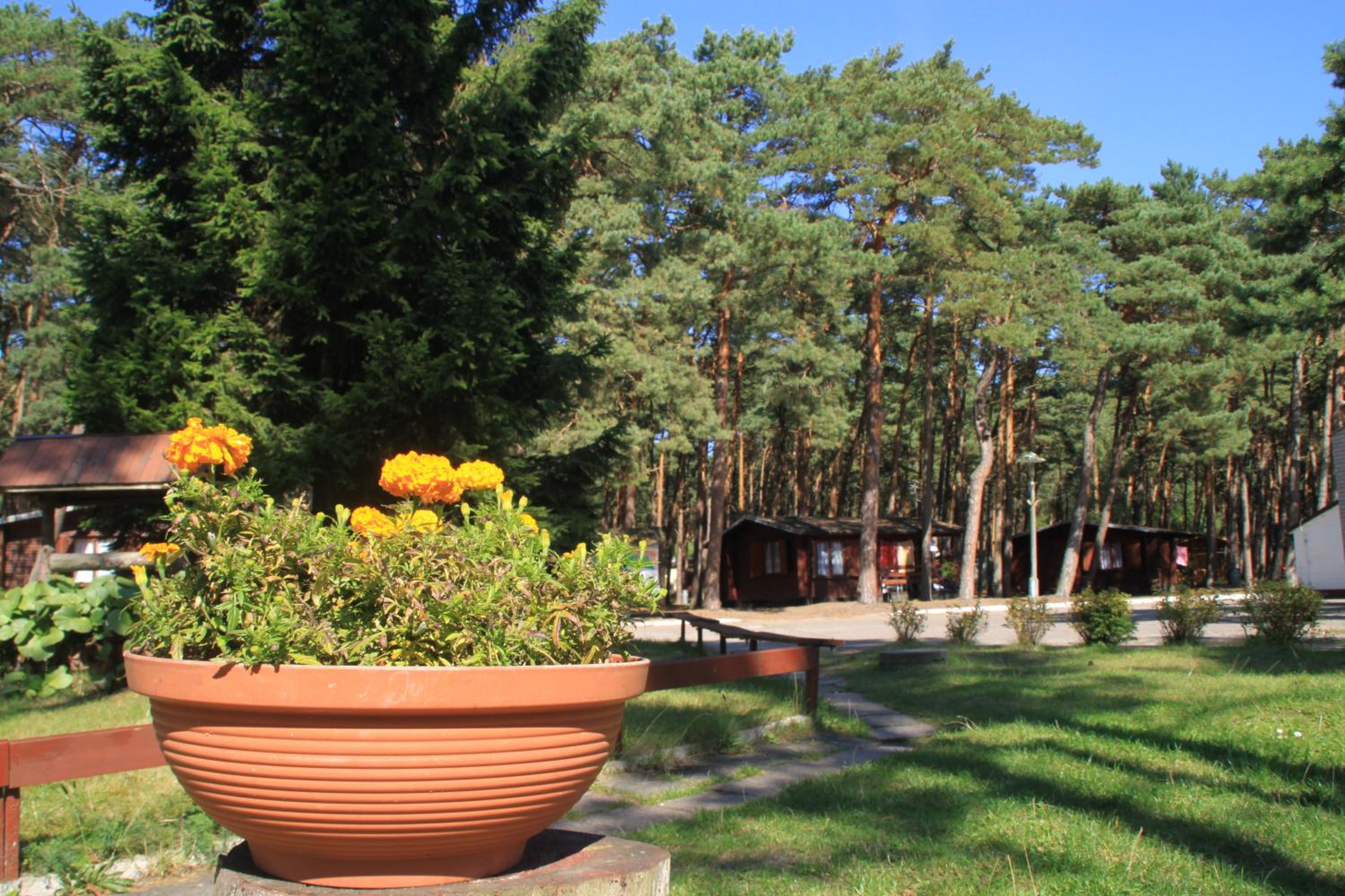 Ośrodek Portus view 3