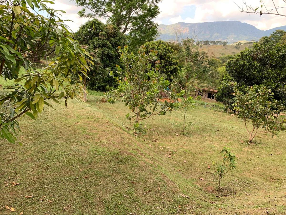 children's play area