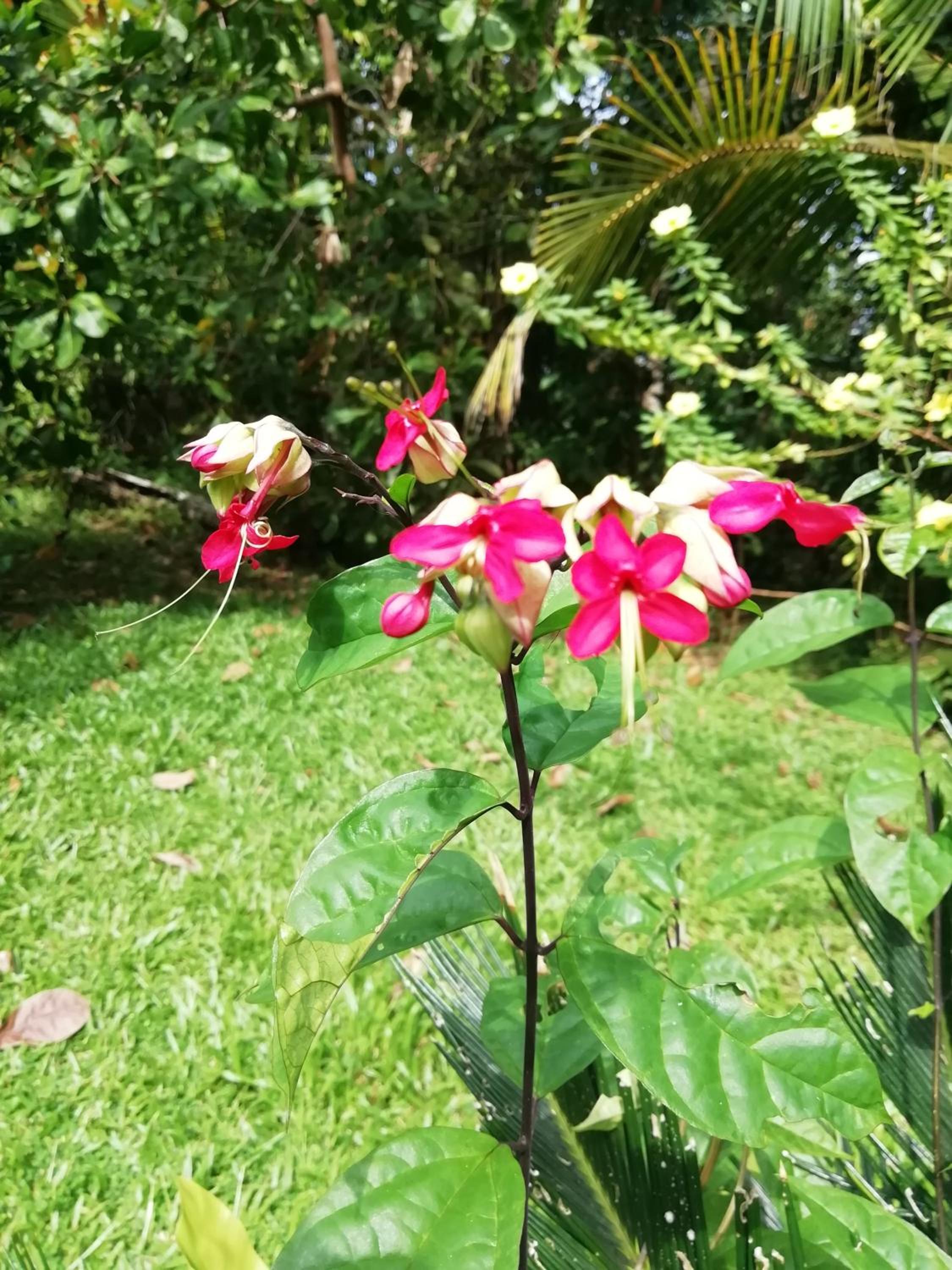 Photo 43