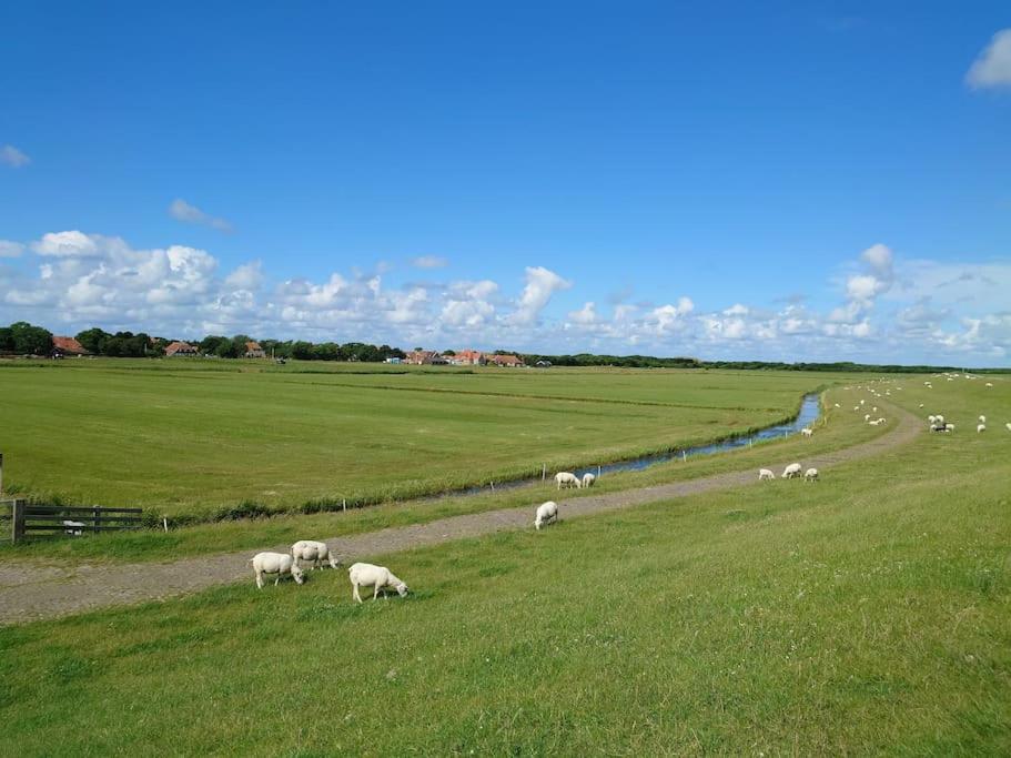 De Oostkamer; Eiland appartement naast natuurgebied Boschplaat view 2