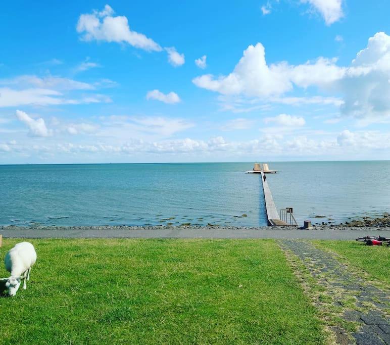 De Oostkamer; Eiland appartement naast natuurgebied Boschplaat view 4