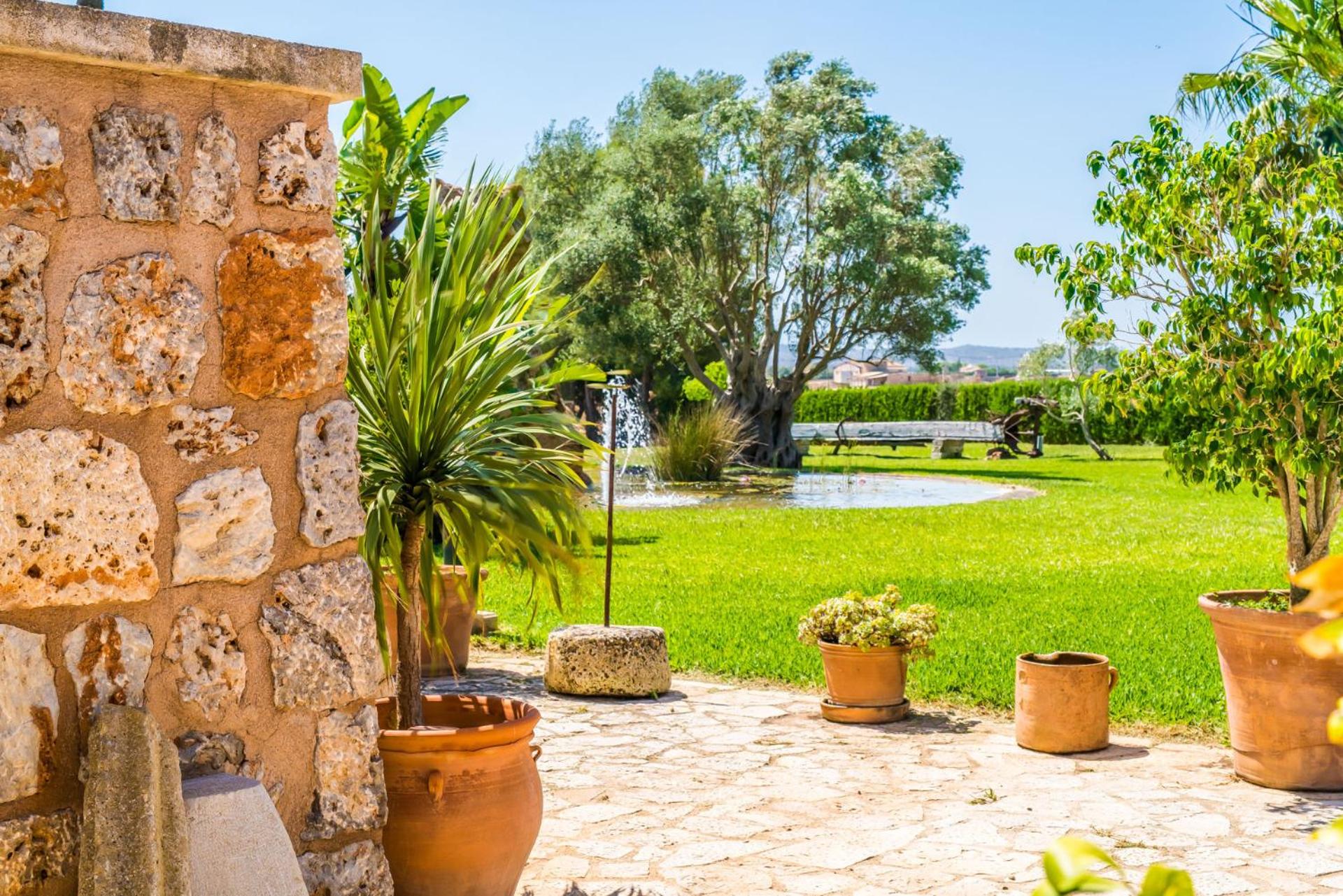 Ideal Property Mallorca - Can Colis view 3