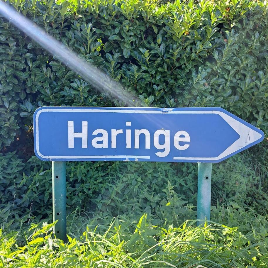 't Haringehuys