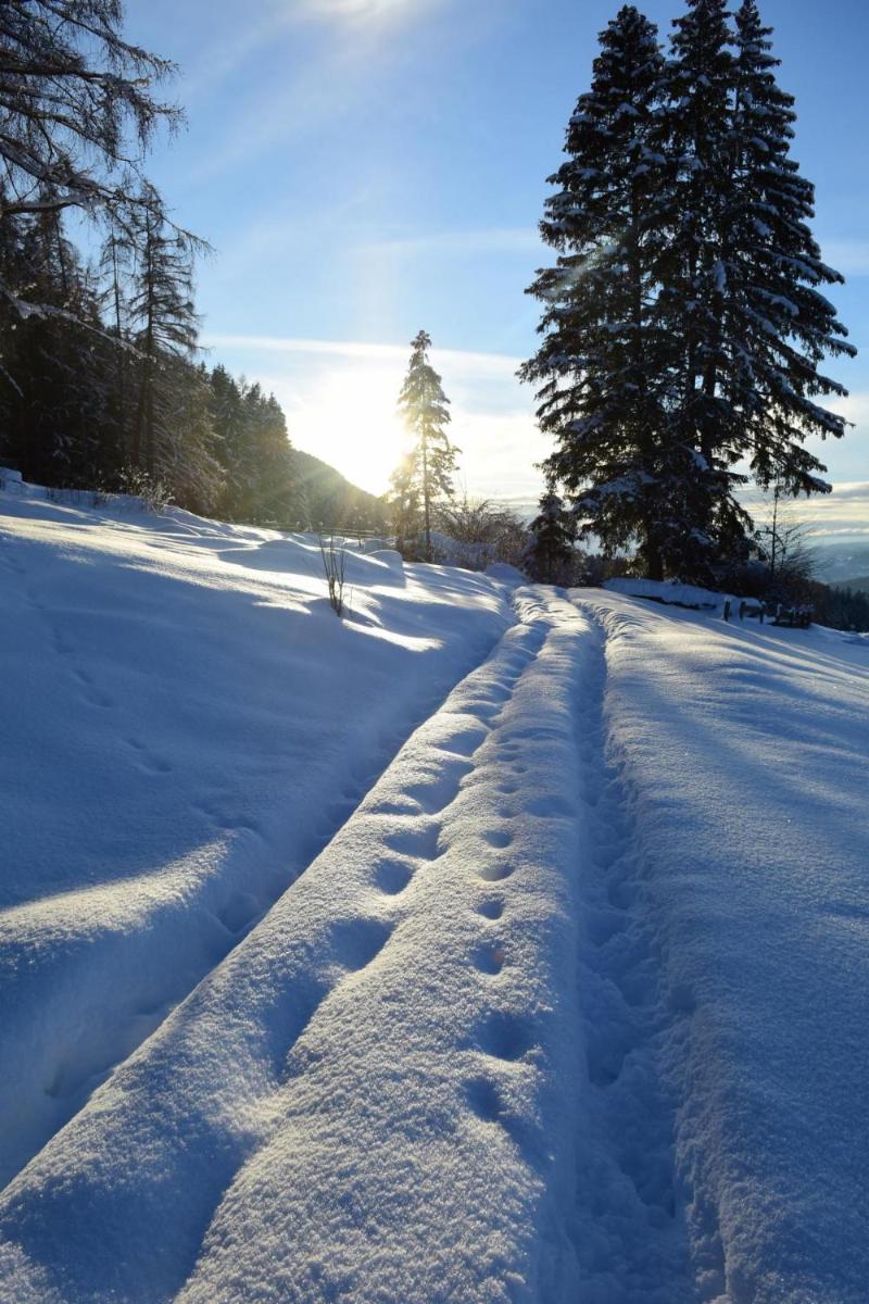 Ritschhof view 3
