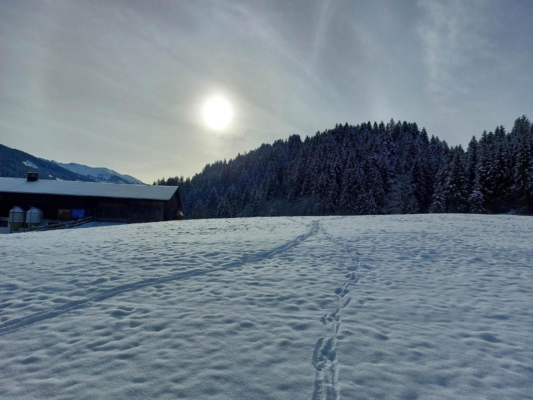Schwaighof