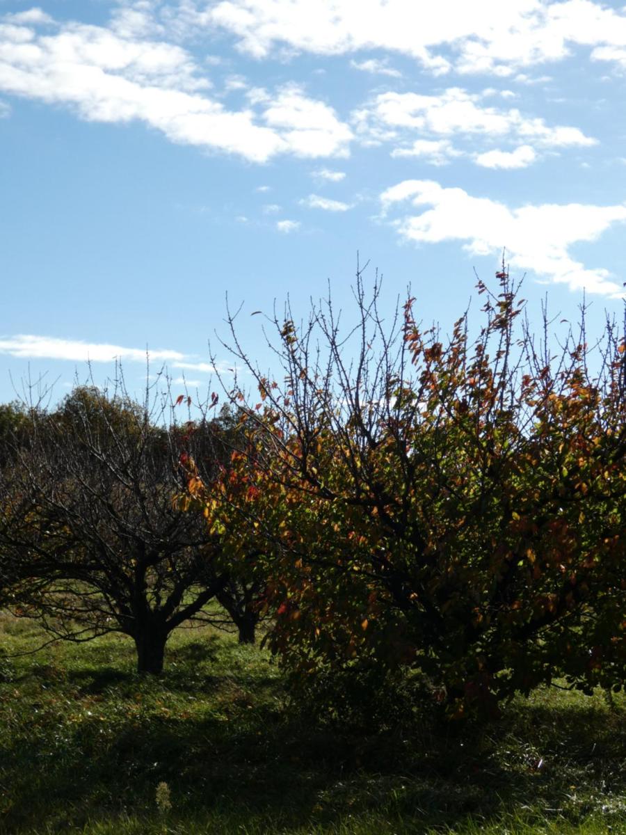 L'Echappée Trémoussante