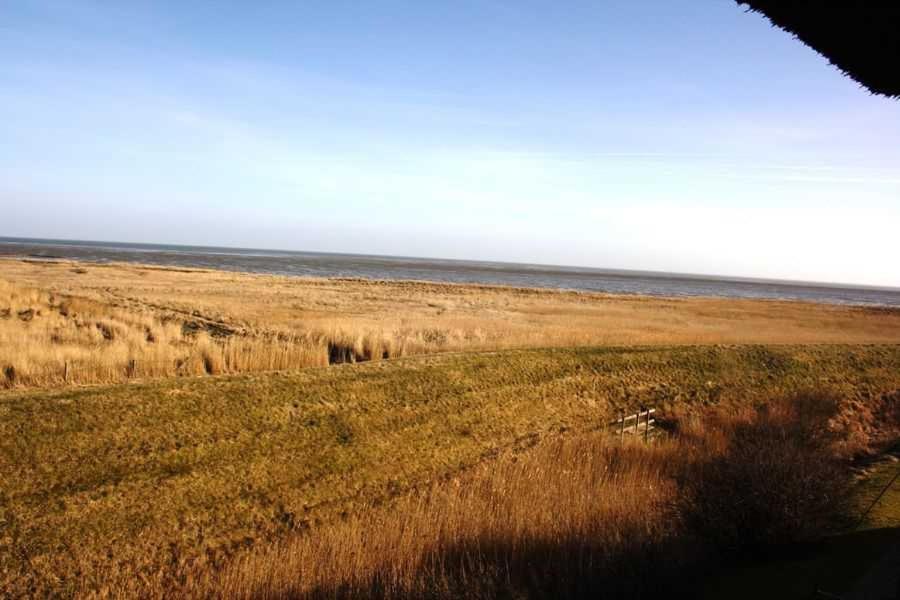 Haus Friedeburg _ Gericke view 4