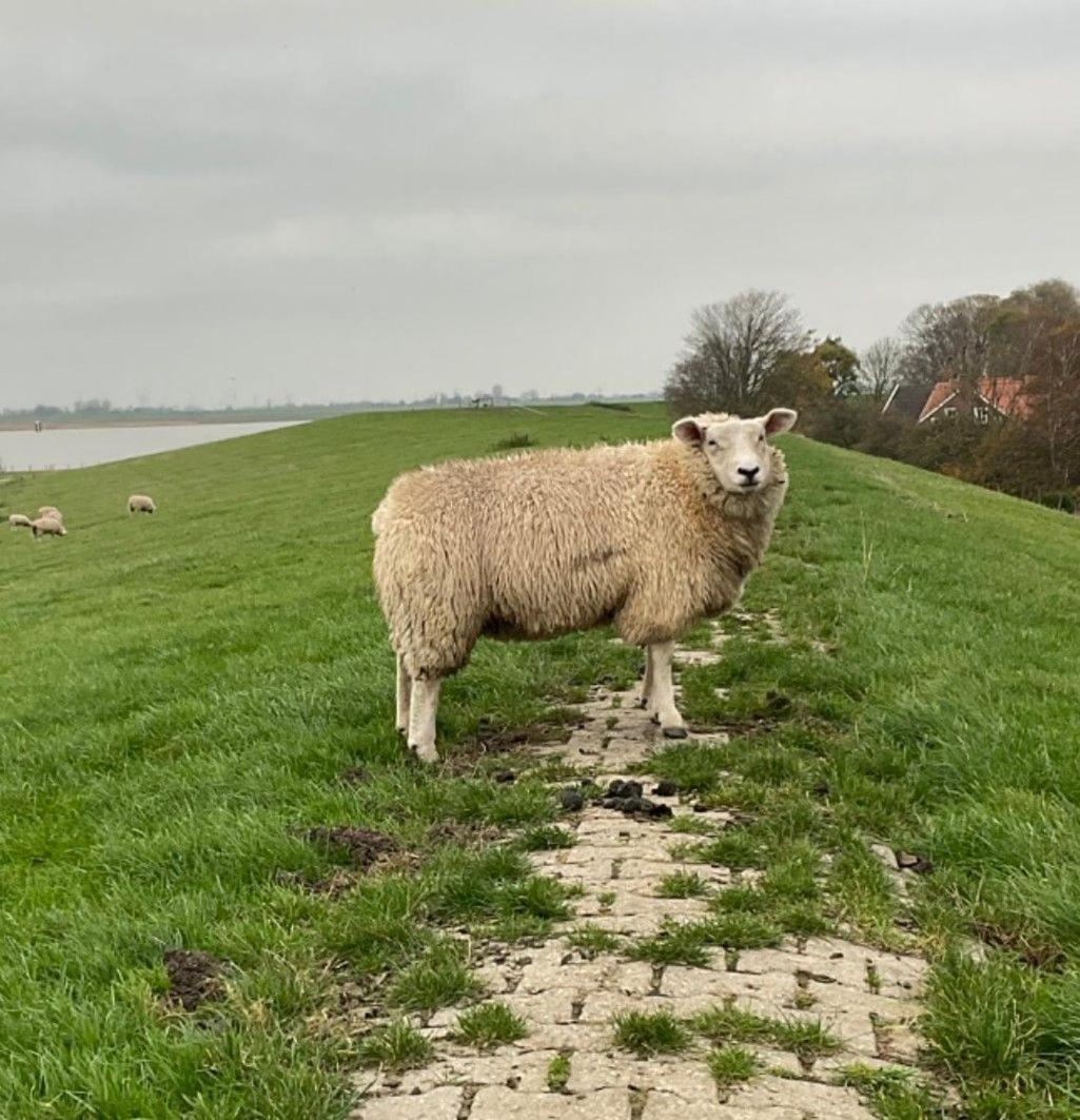 Ferienwohnung Zweite Heimat 45248