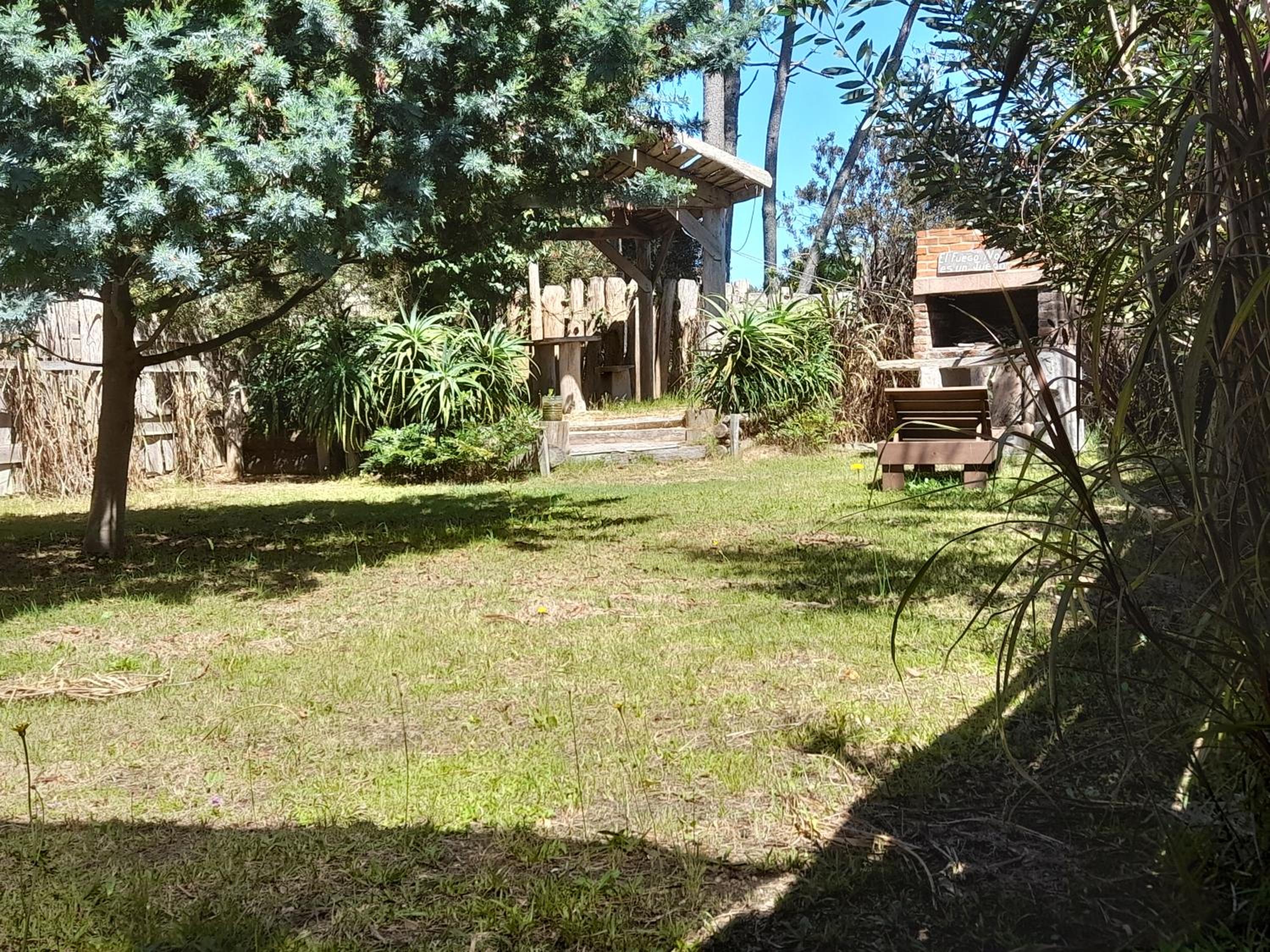 Photo 11