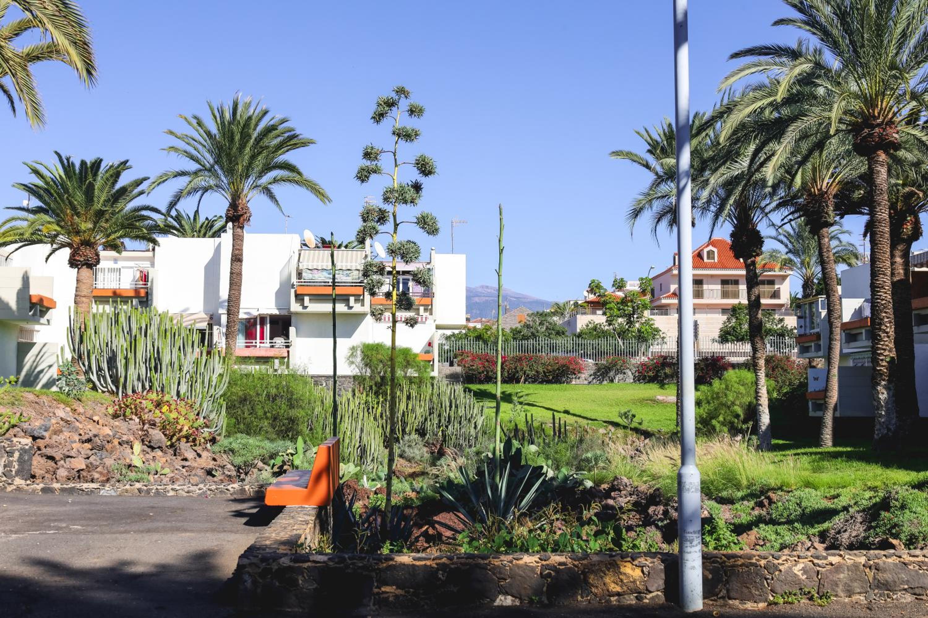 Casa Lola
