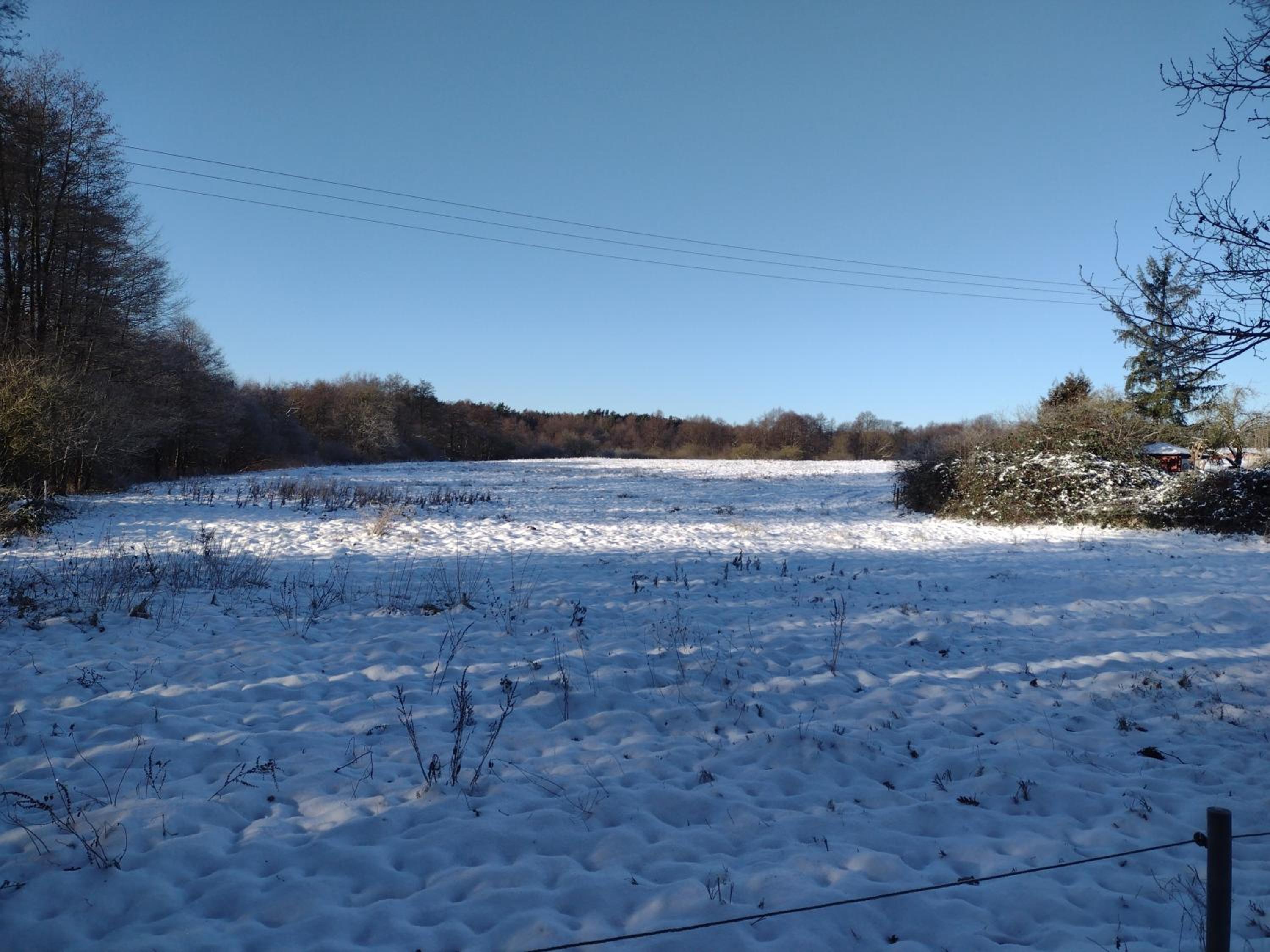 Photo 27
