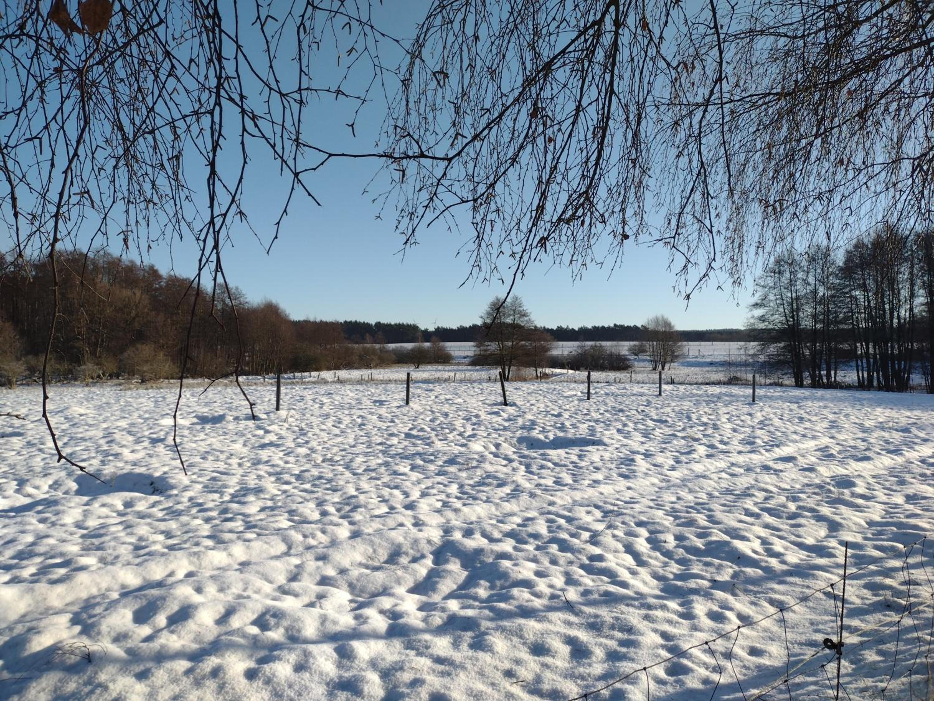 Photo 45