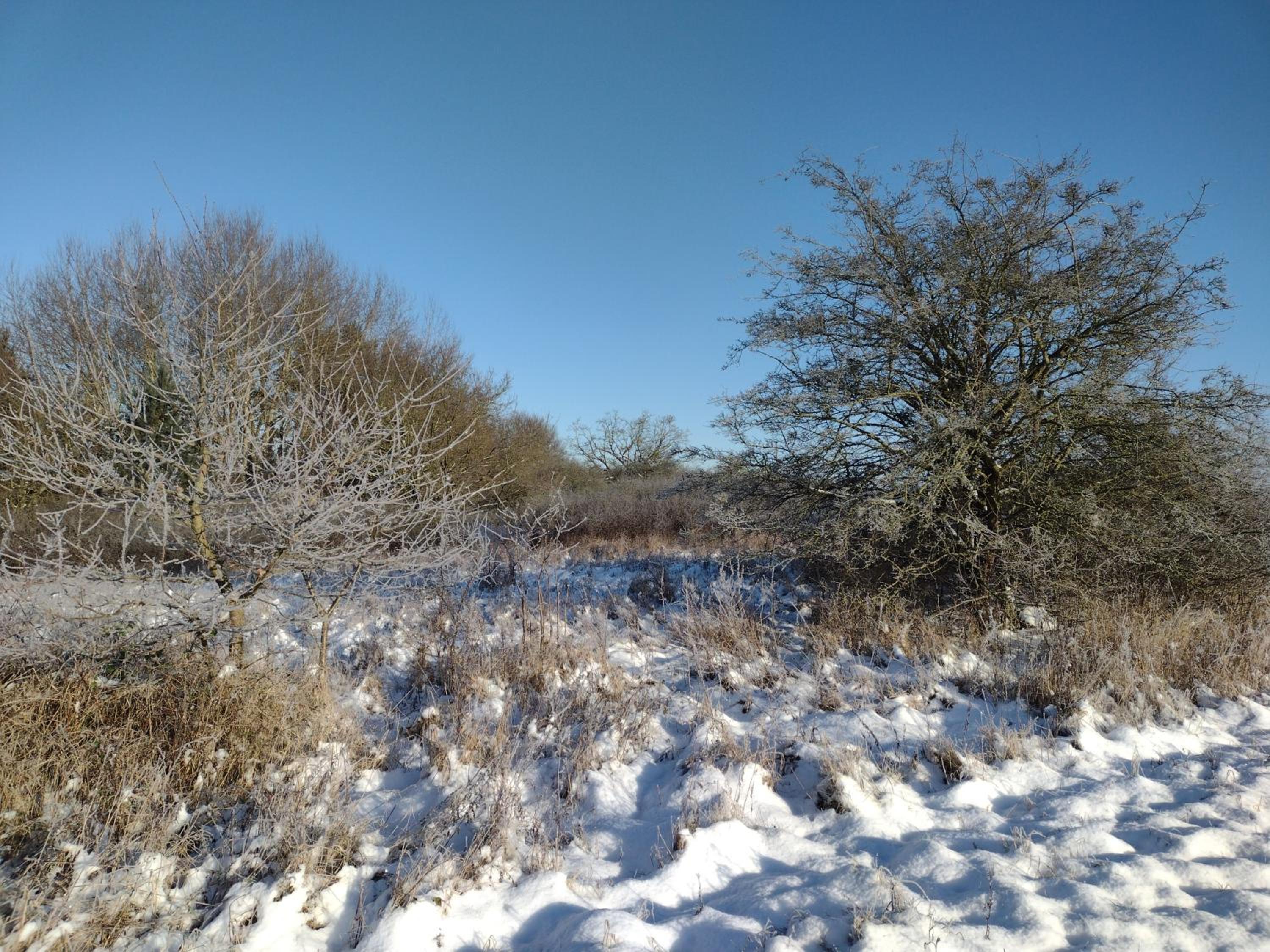 Photo 44