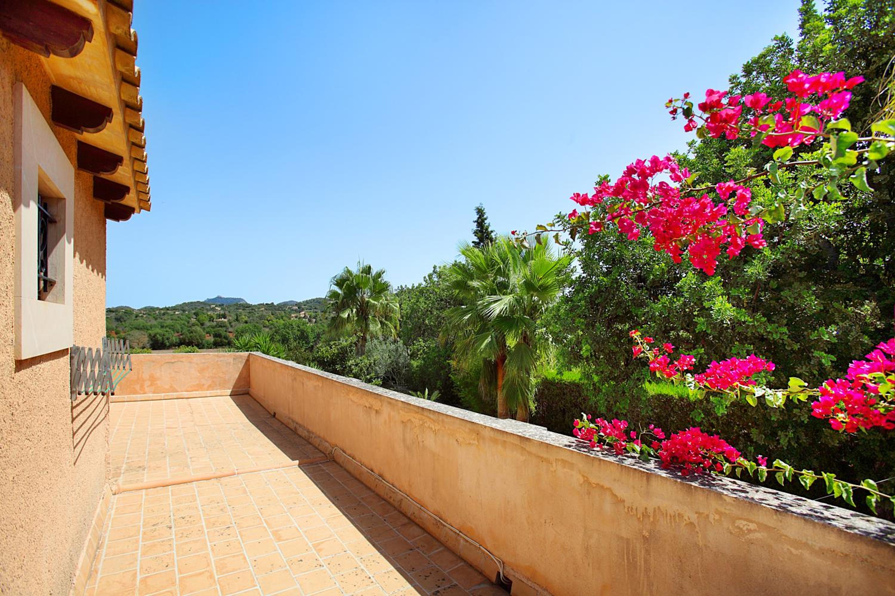 Finca Teuler Petit