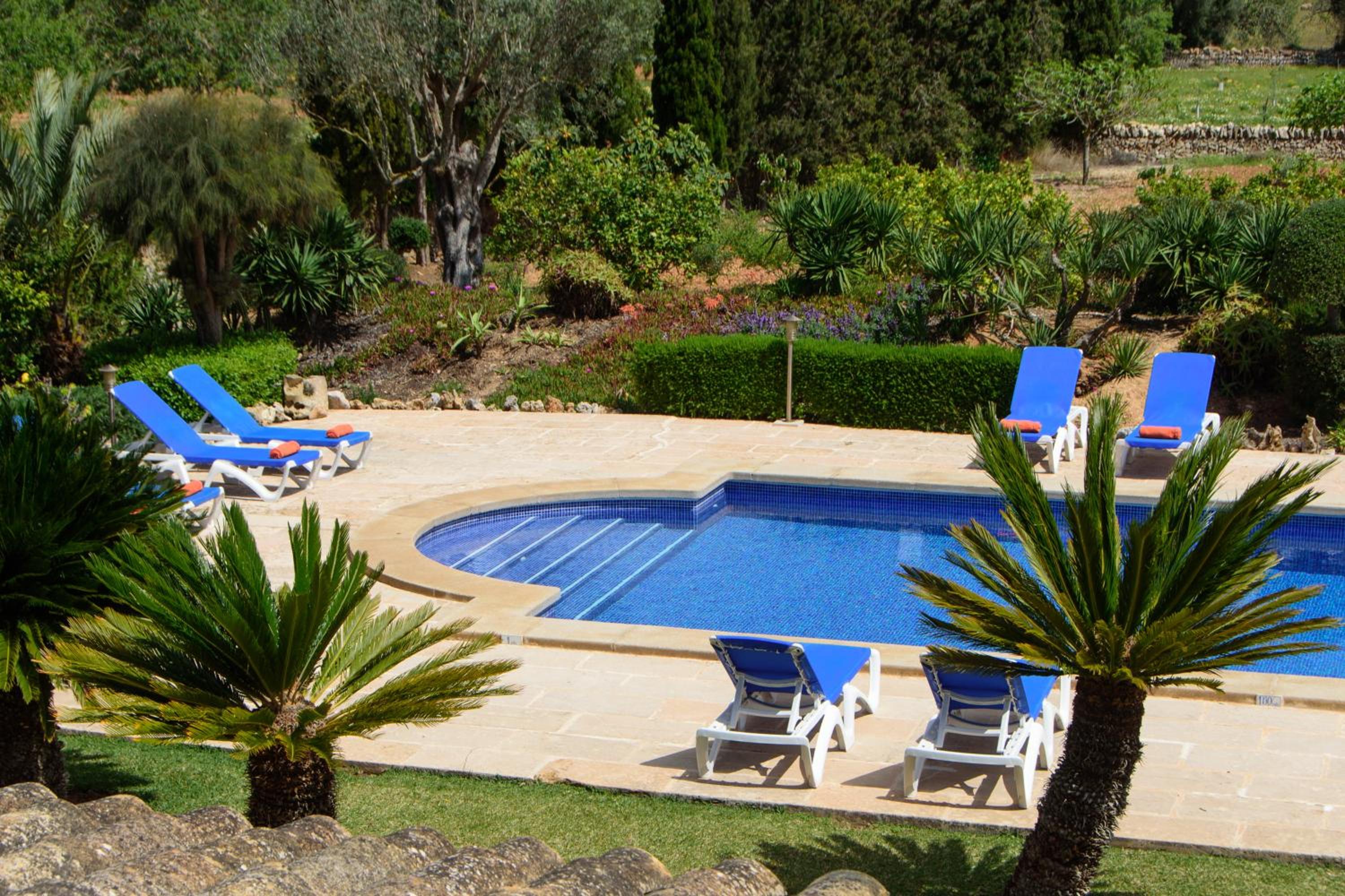 Finca Teuler Petit