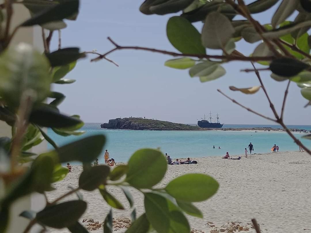 NISSI GOLDEN SANDS SEA VIEW 2 BEDROOM Apartment