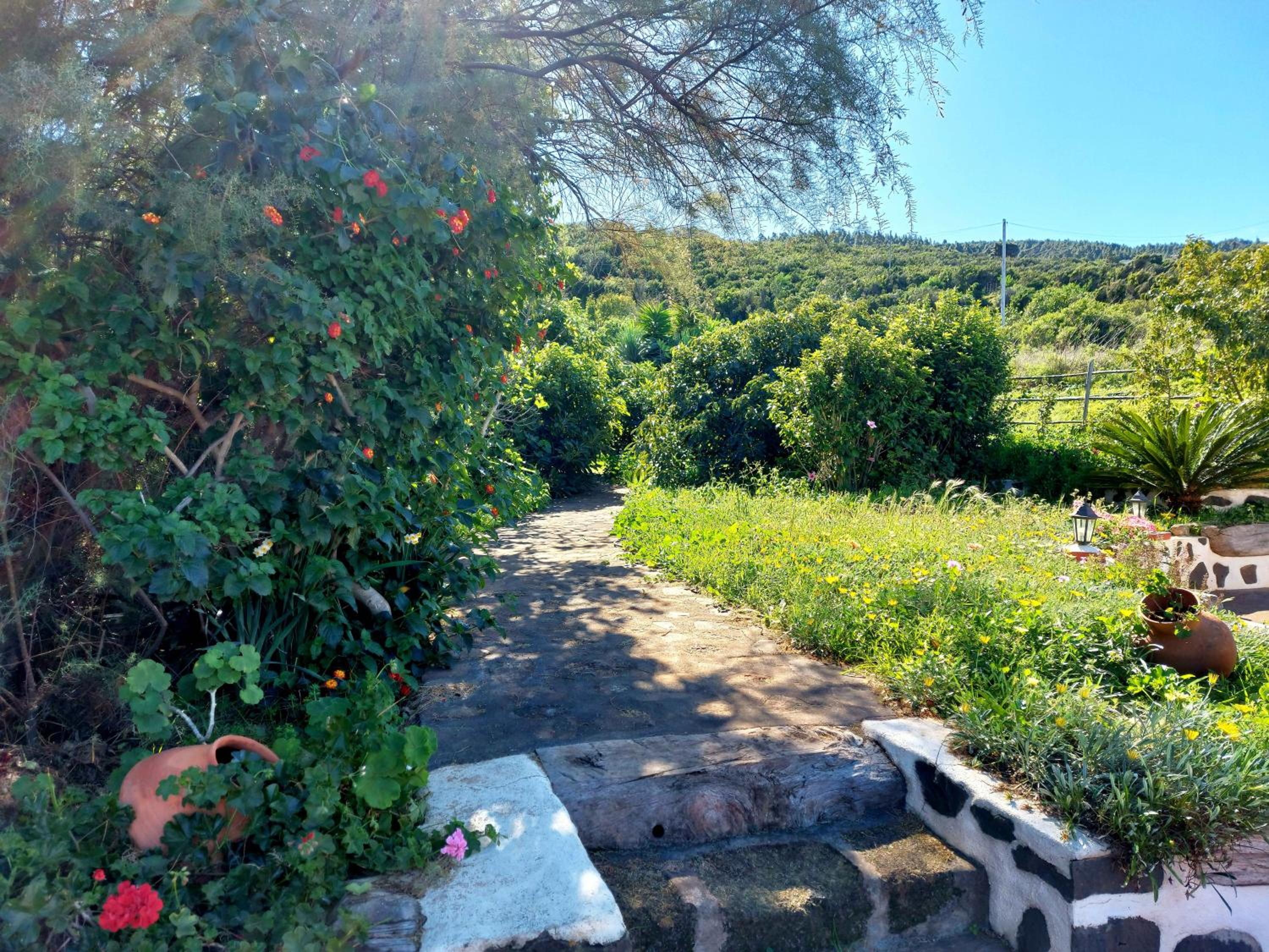 El Jaral