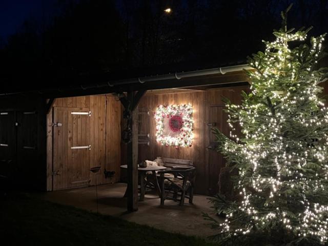 Cabin Margot with hot tub in private garden