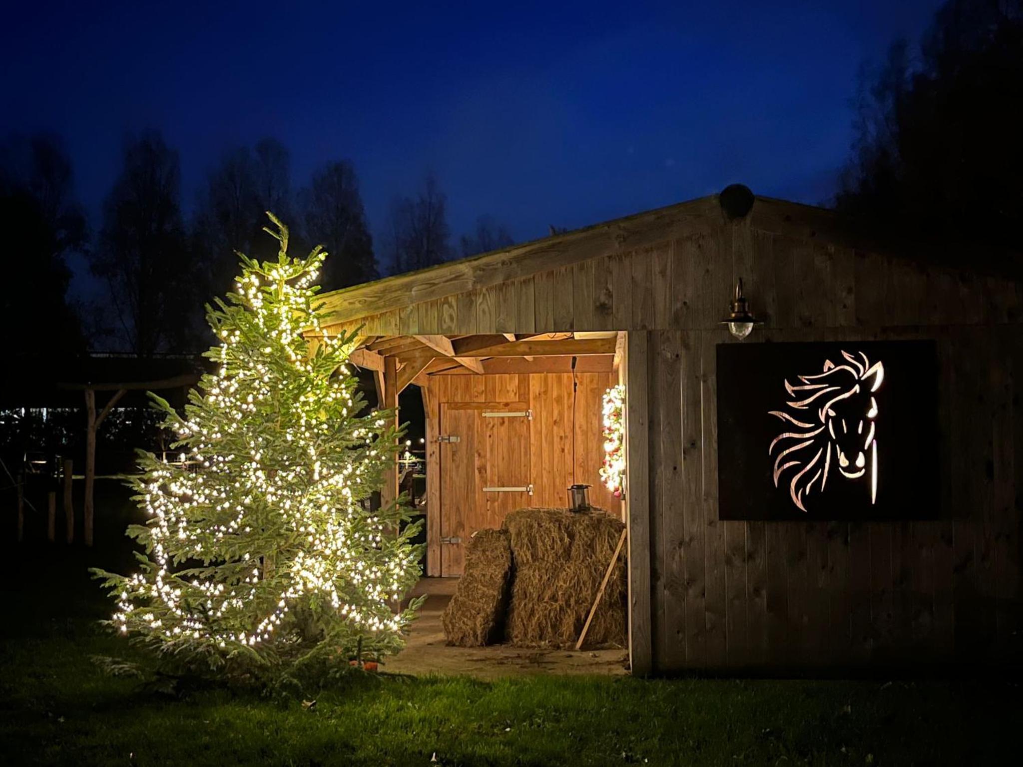Cabin Margot with hot tub in private garden