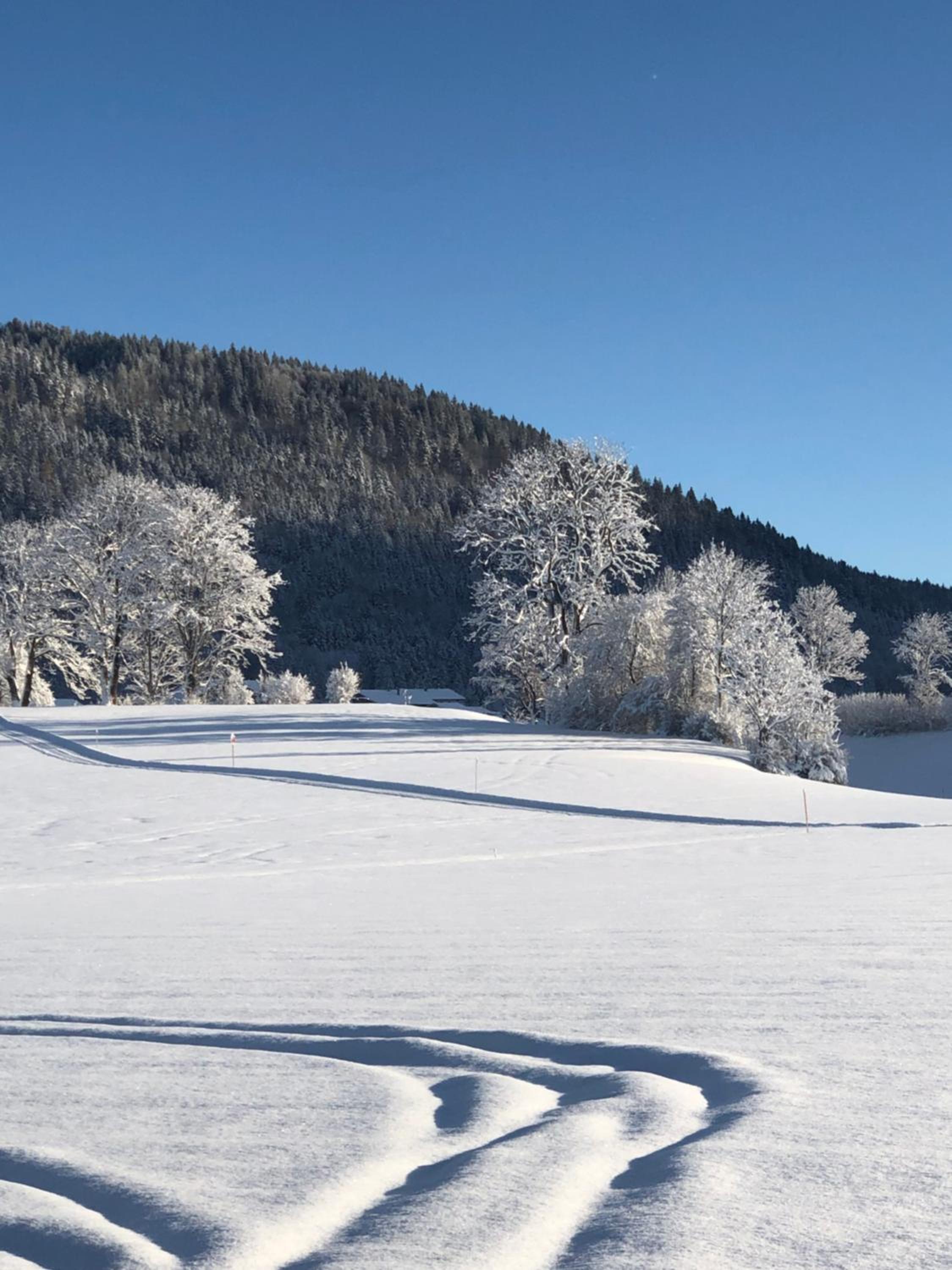 Lindenhof Inzell - FeWo mit Chiemgaukarte