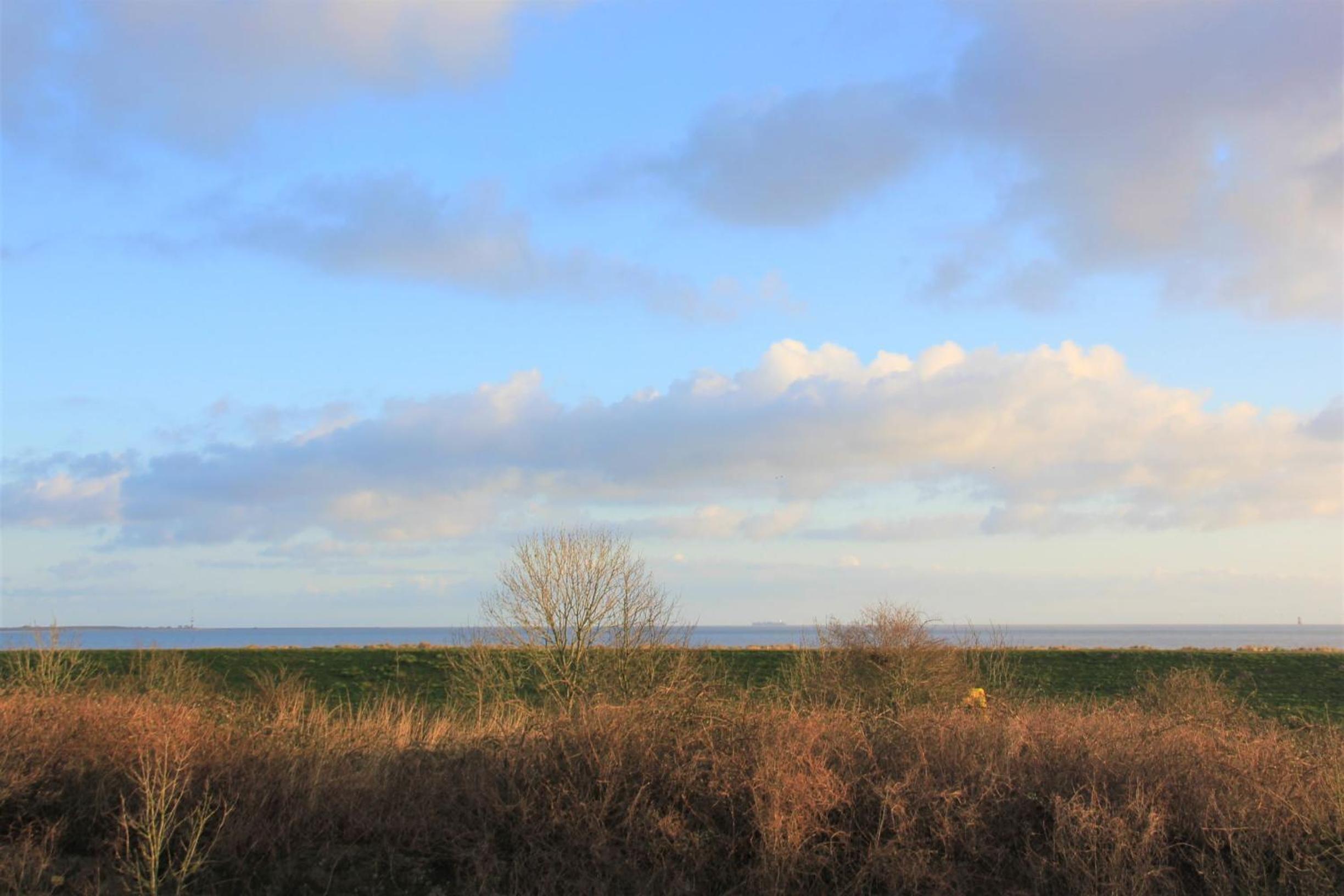 Strandhaus Schillig - Haus 8 view 4