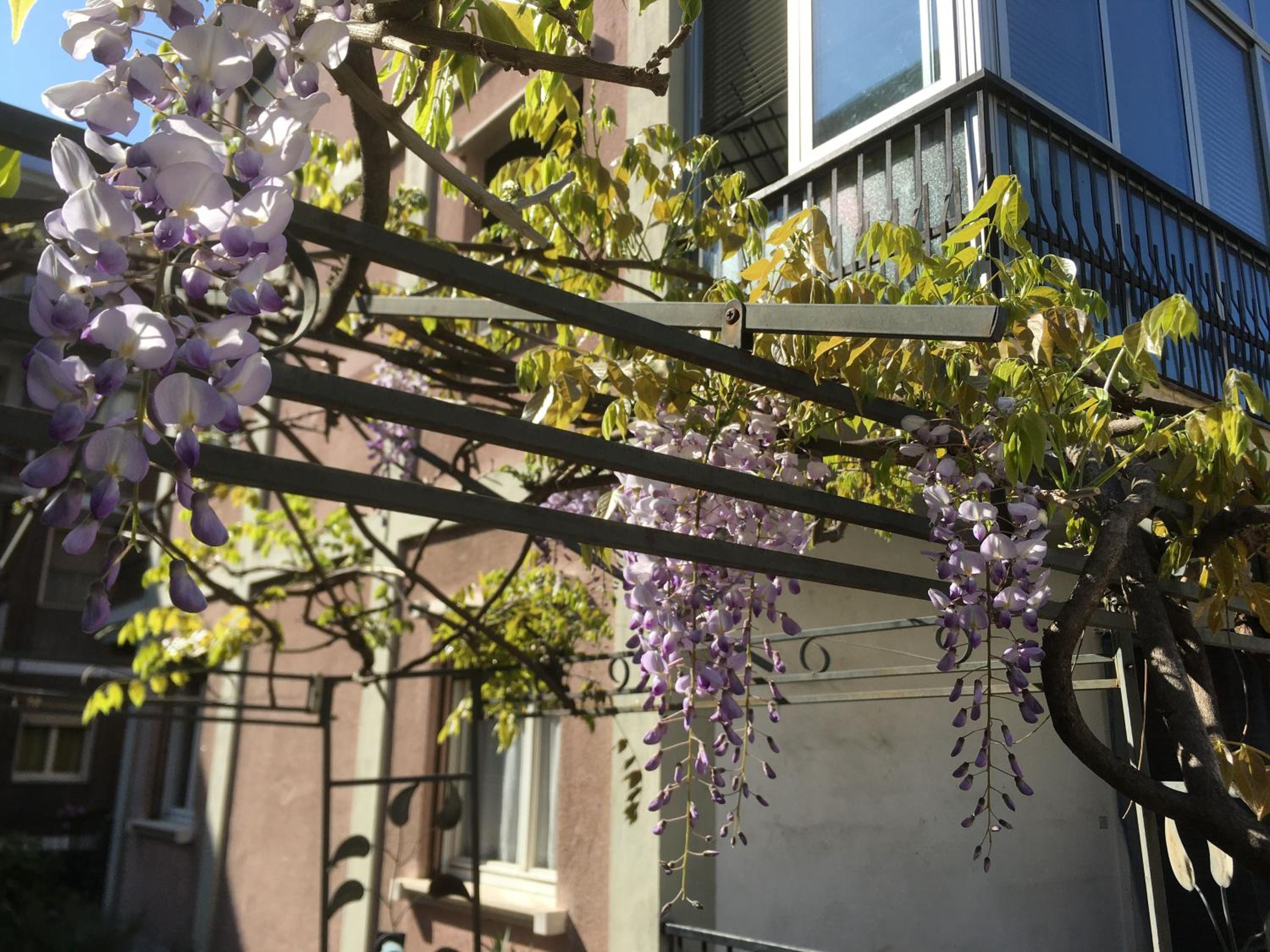 Il Broletto B&B view 5