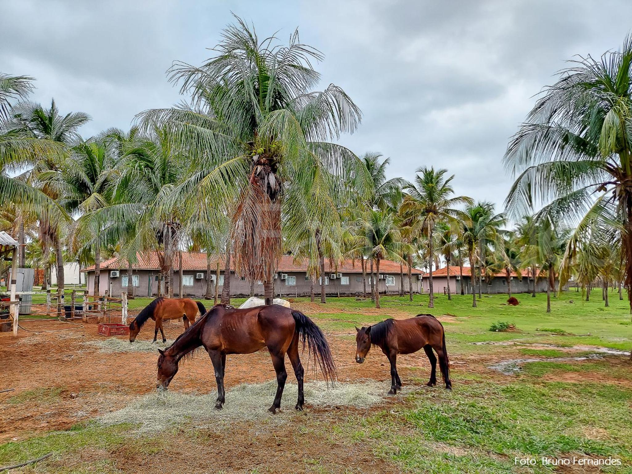 CAMPO BELO RESORT