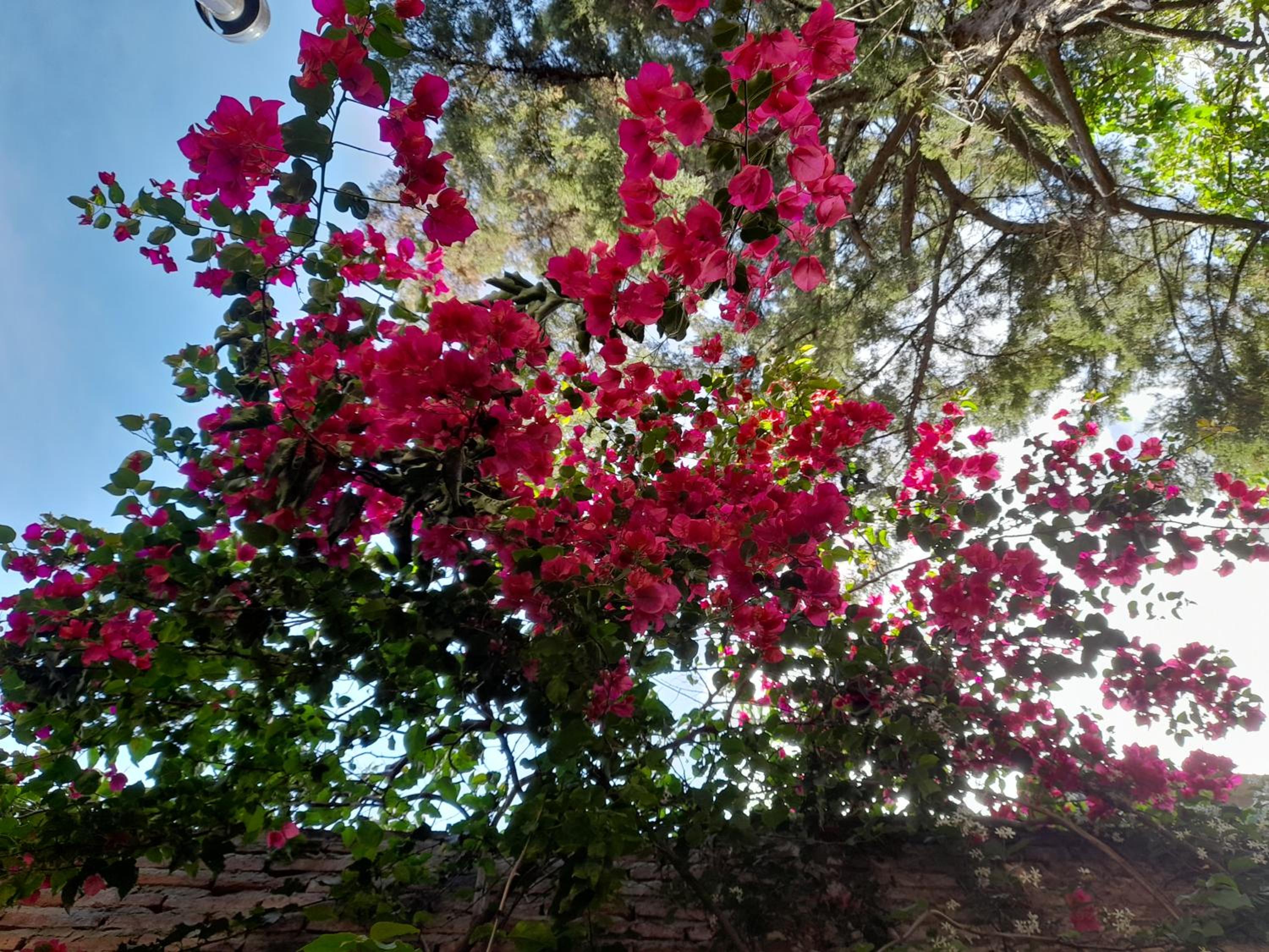 LA CASITA