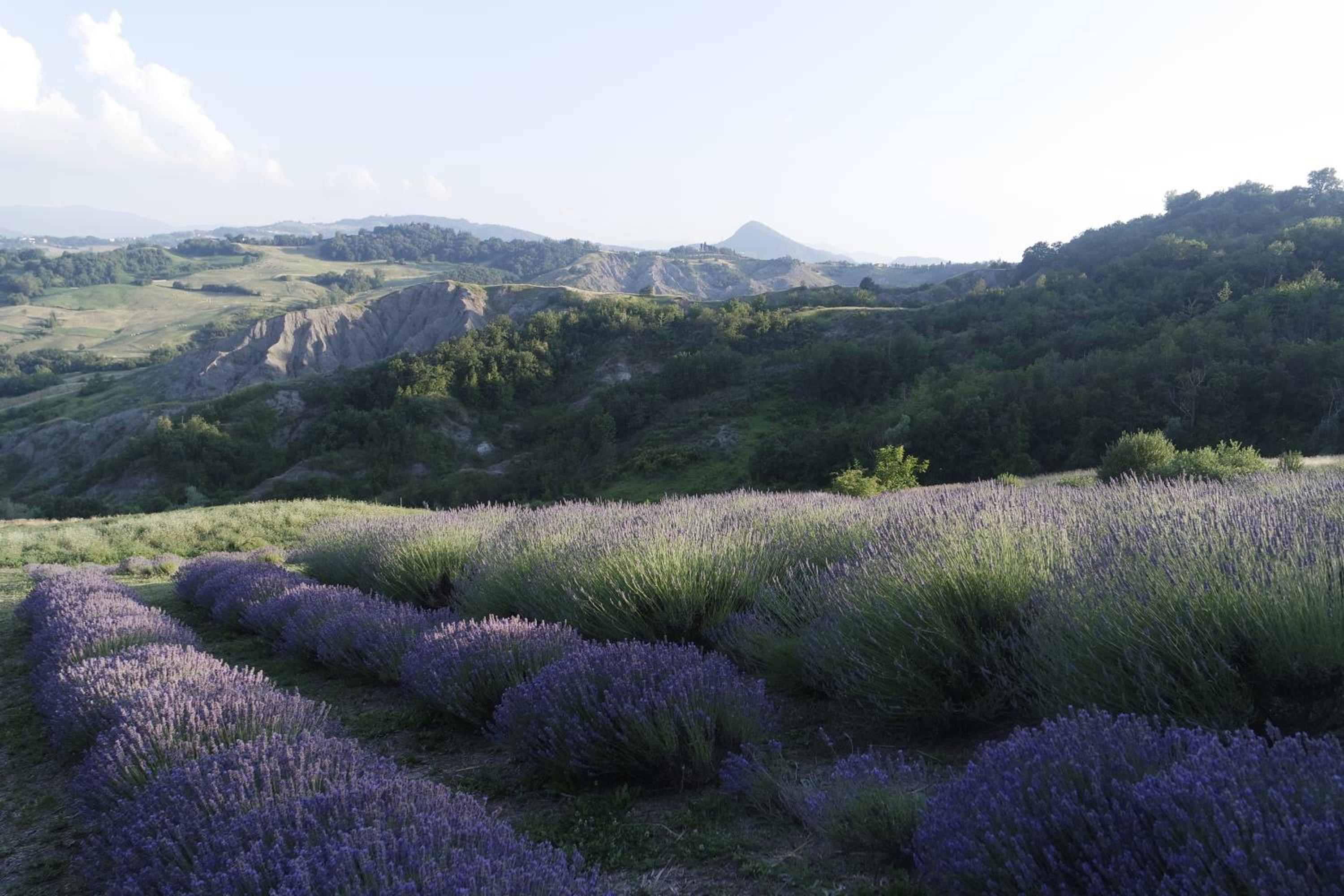 Casale Monte Valestra