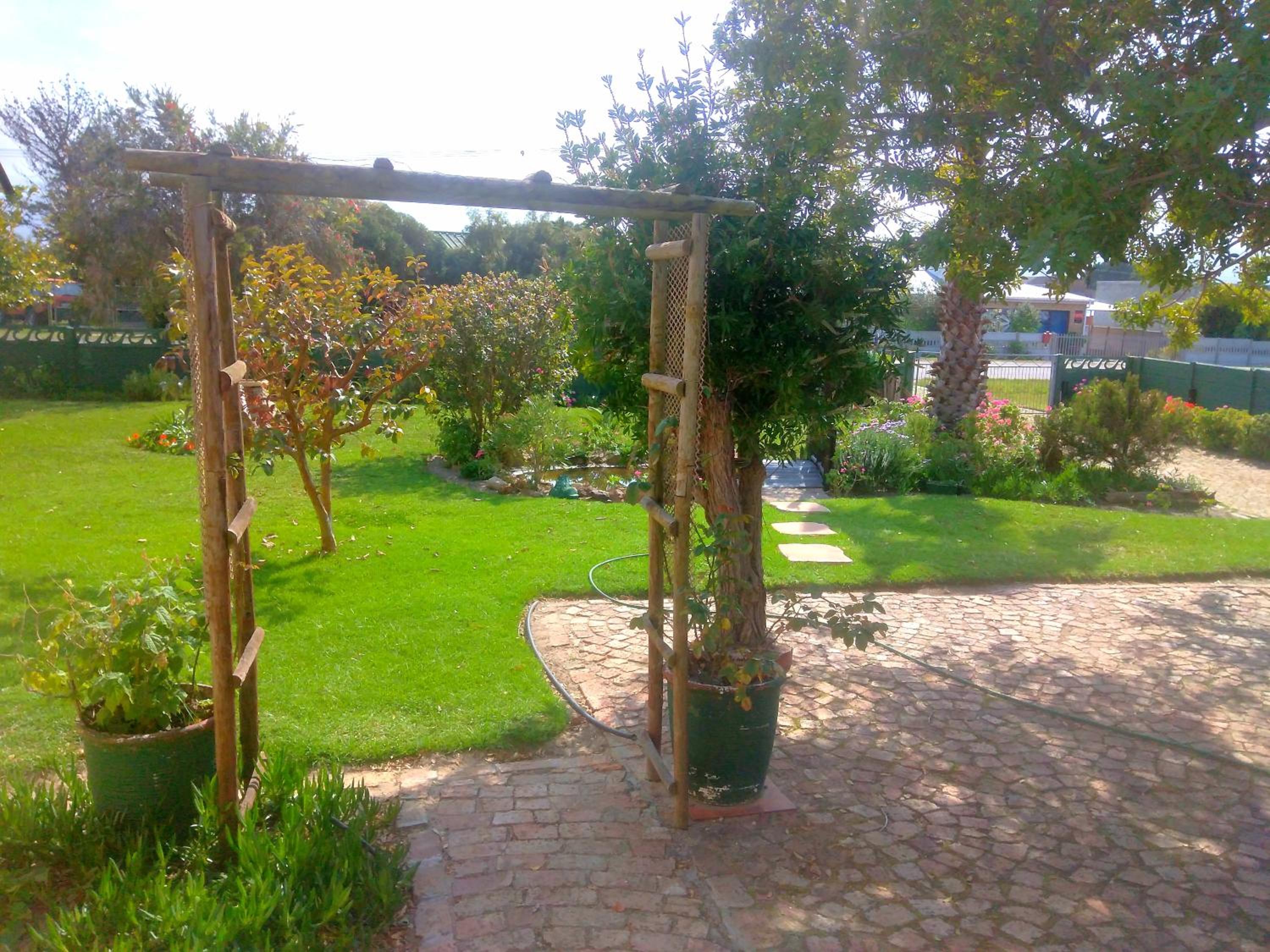 Photo 16