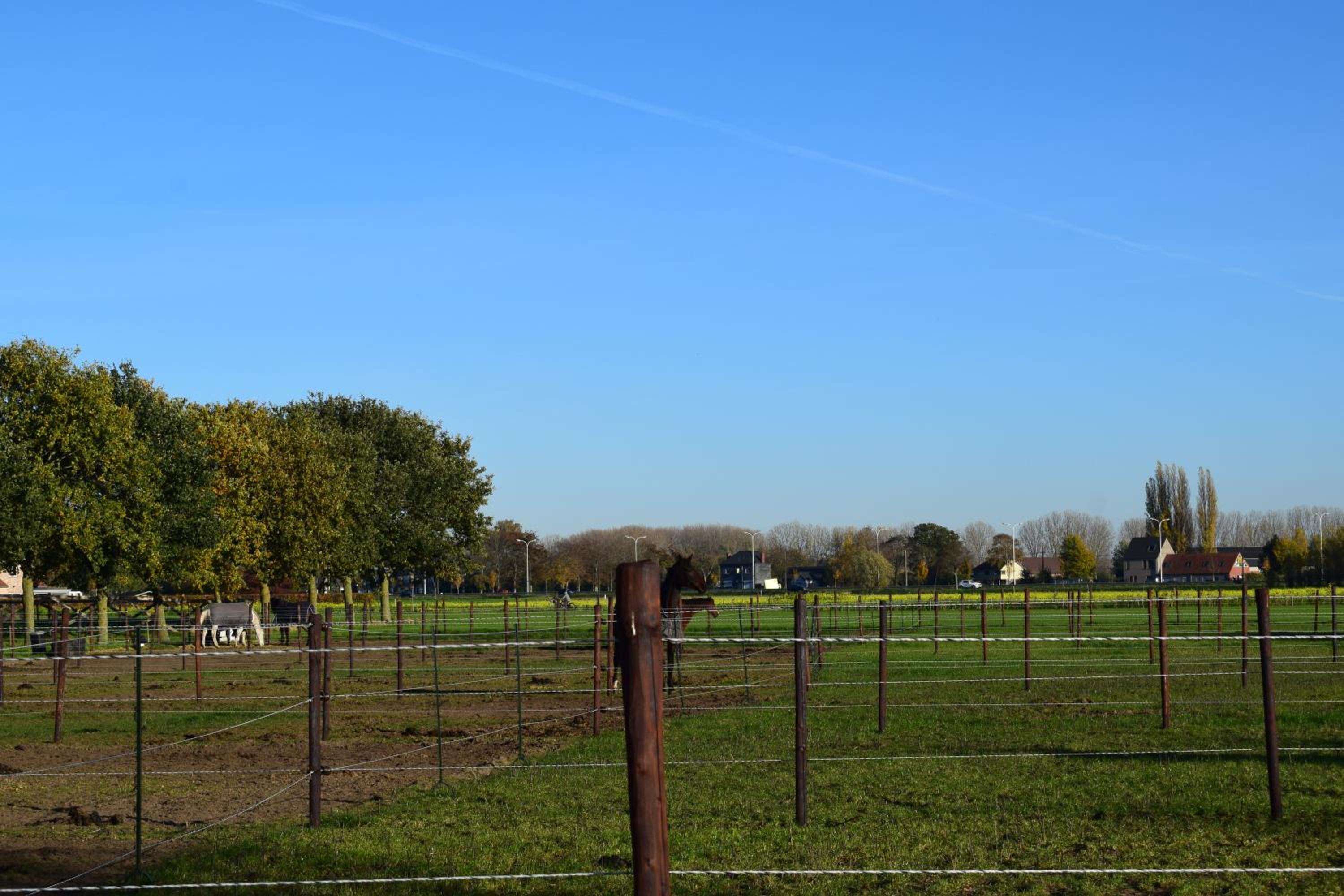 B&B Houten Huis