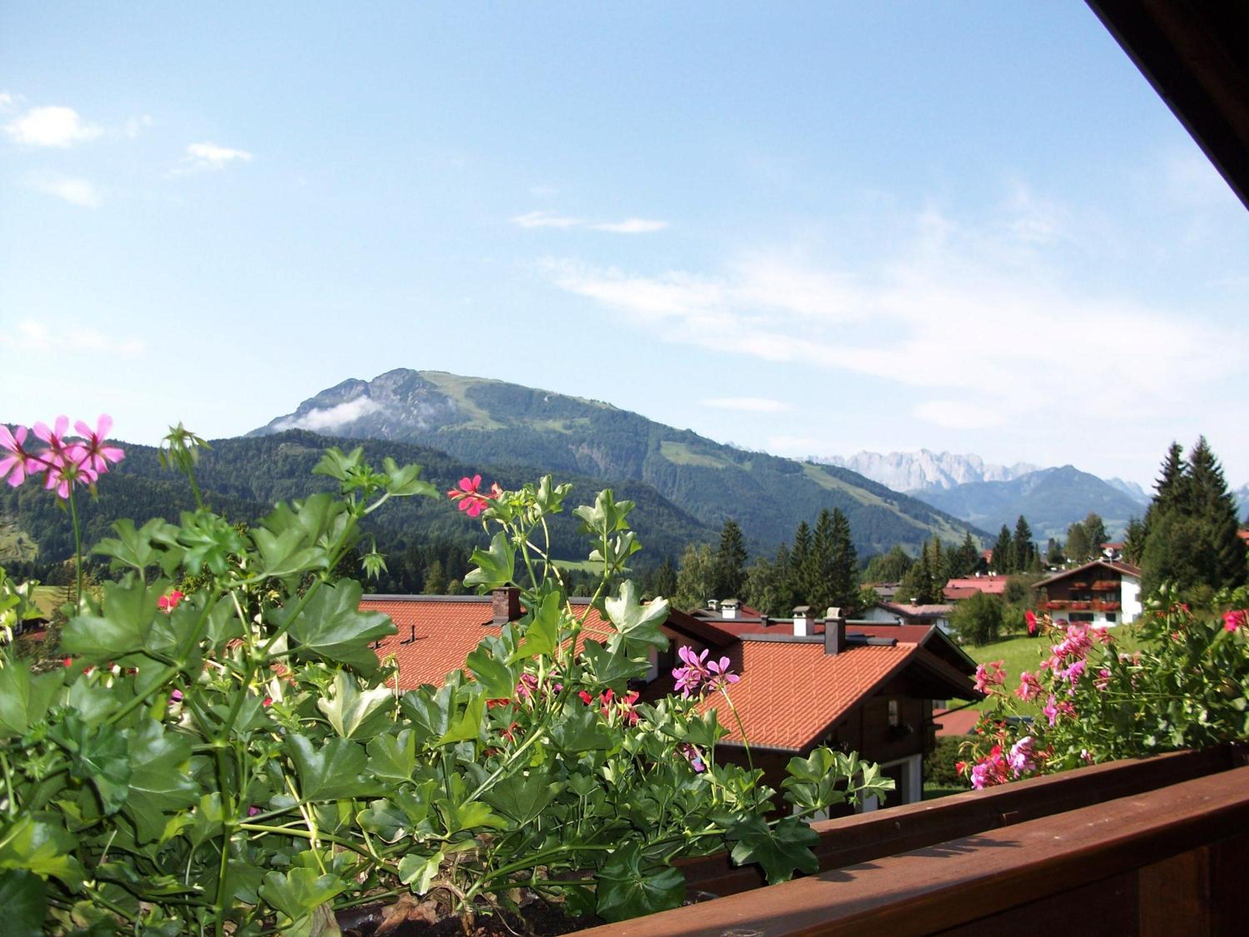 Alpenblick view 3